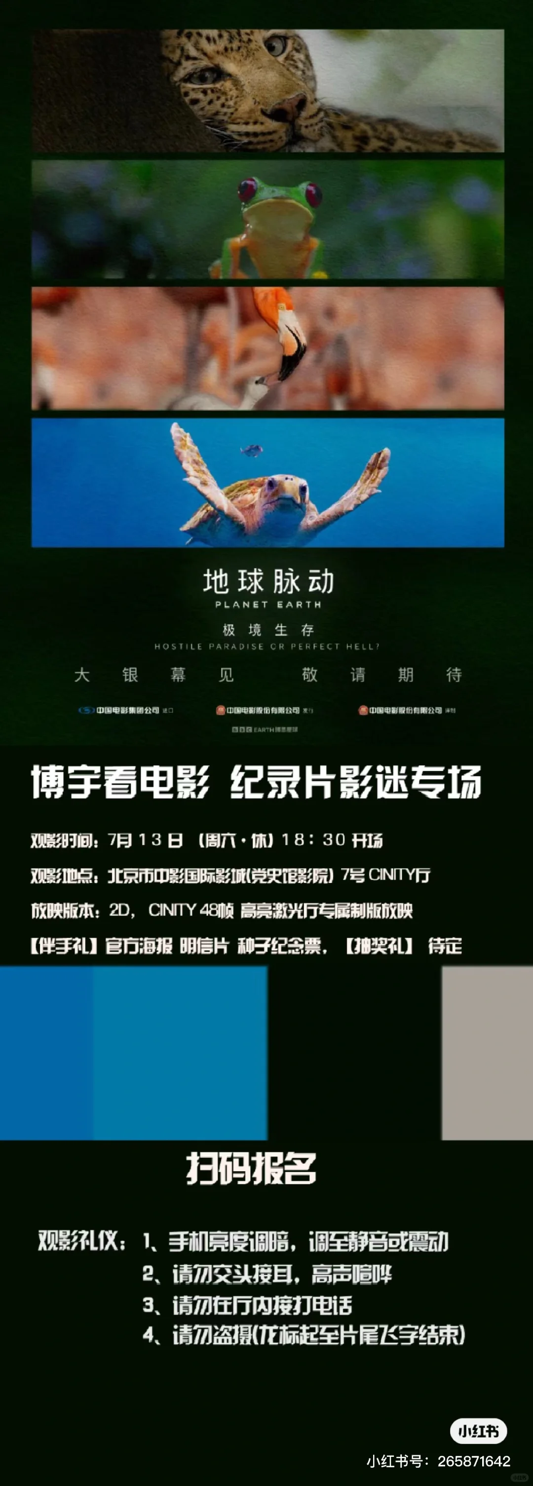 电影版 地球脉动 抢先看