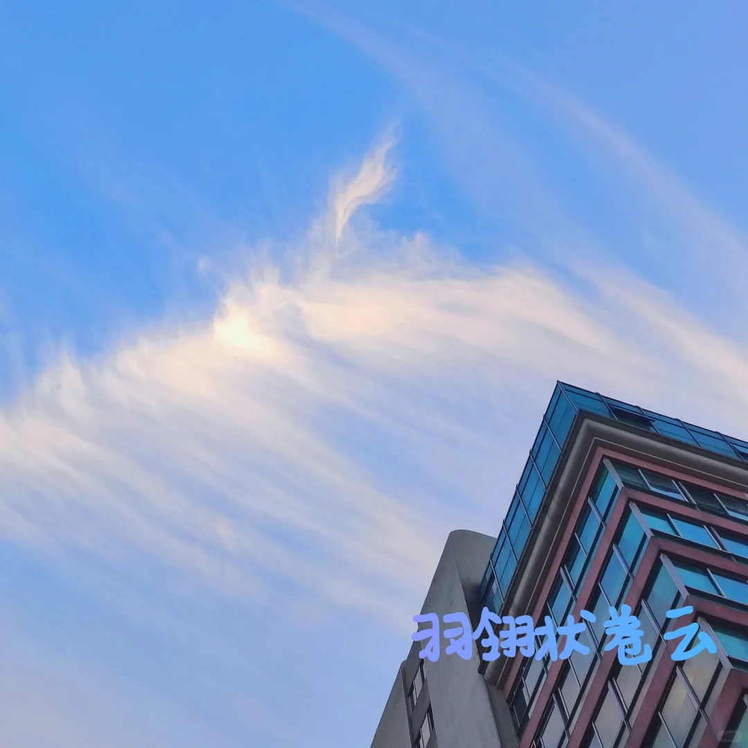 喜欢云云的宝宝们,发现了一款爆炸棒的软件