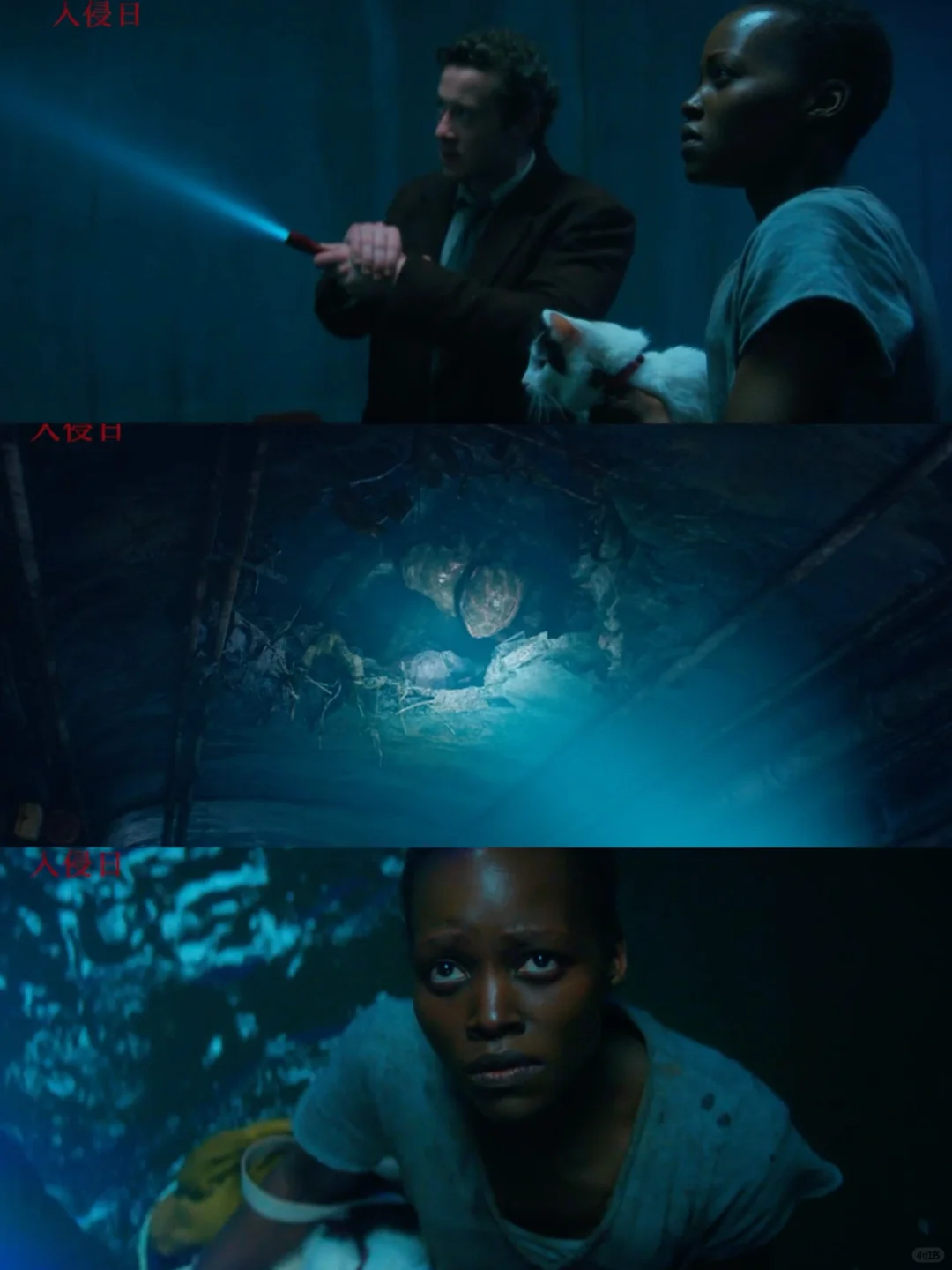 看了《寂静之地:入侵日》,个人观感比预期好!