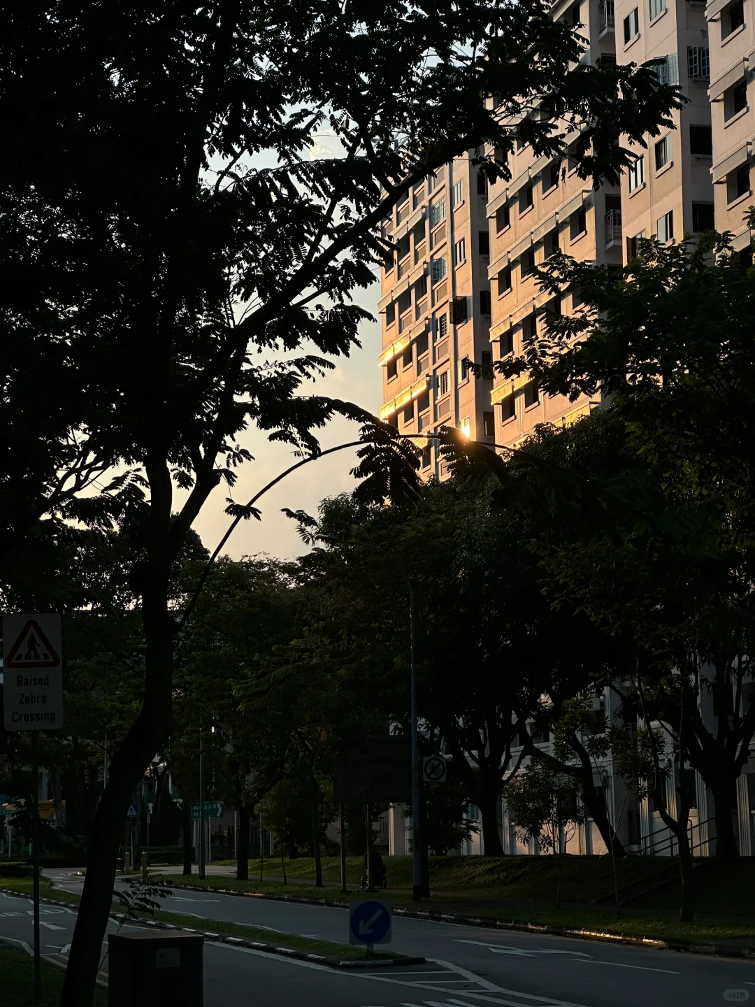 🇸🇬用什么网页还是app看戏