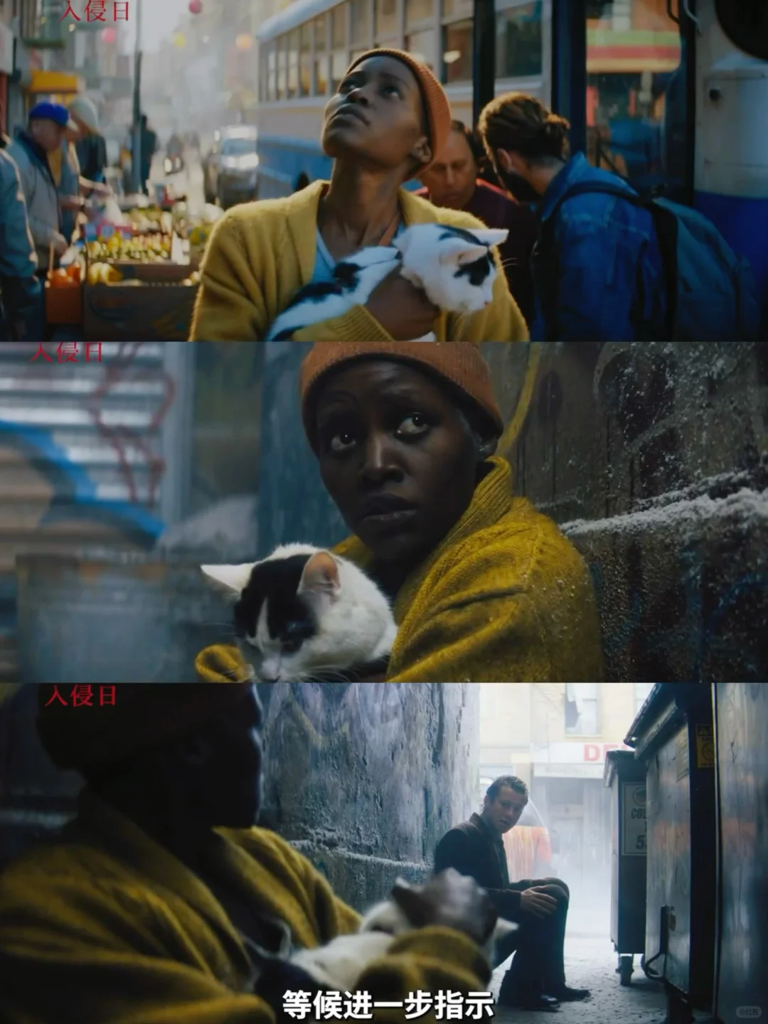 看了《寂静之地:入侵日》,个人观感比预期好!