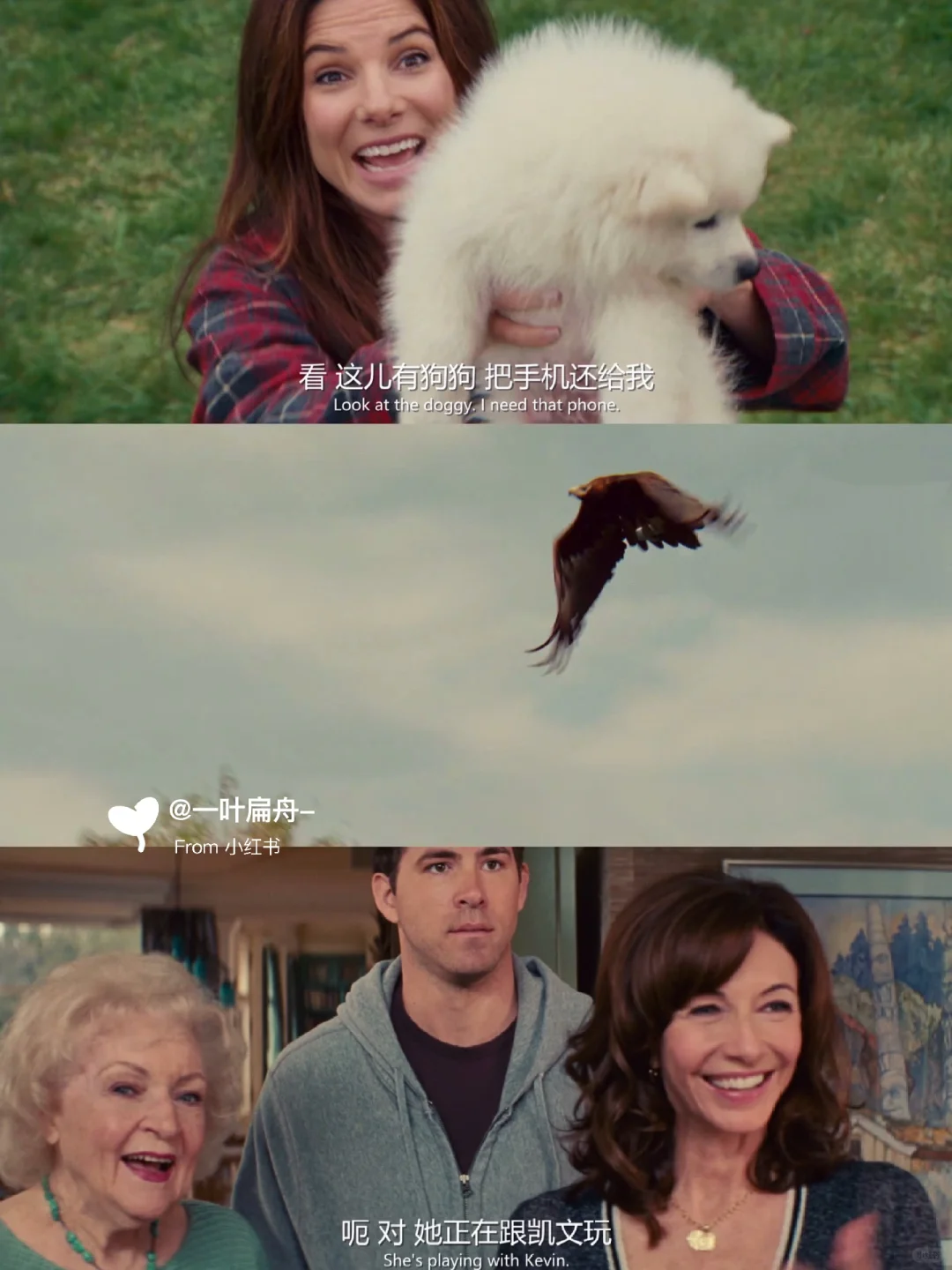 心情不好都去看这部电影‼️笑到肚子疼🤣🤣🤣