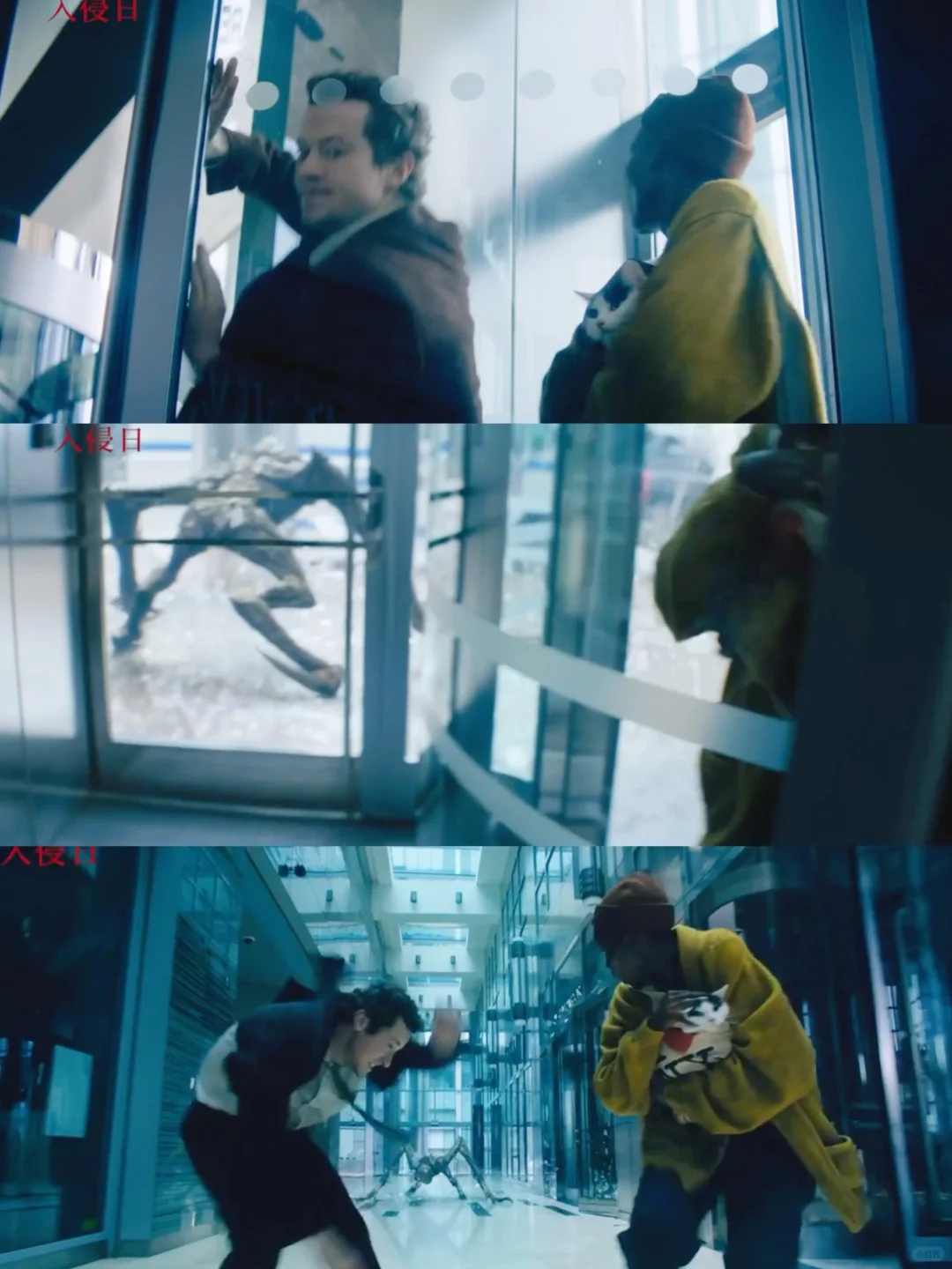 看了《寂静之地:入侵日》,个人观感比预期好!