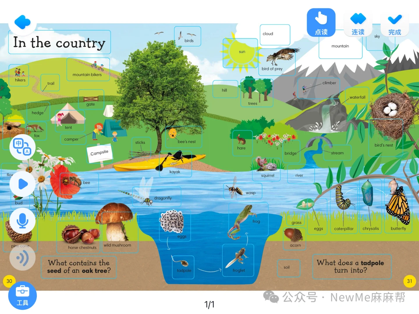 学好英语,一个APP就够了。