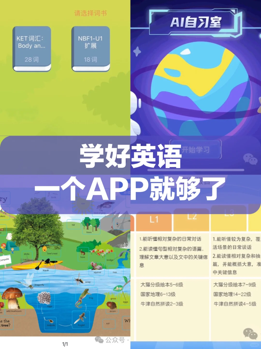 学好英语,一个APP就够了。