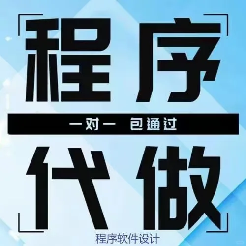 编程设计。软件开发