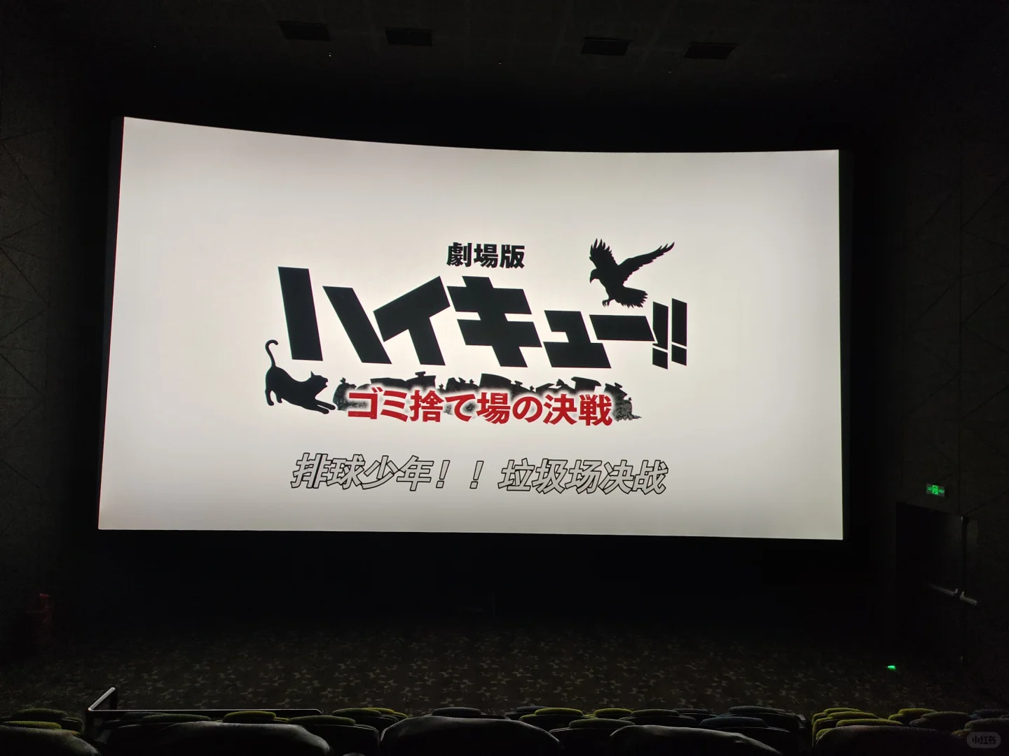 今天电影院一人包场~