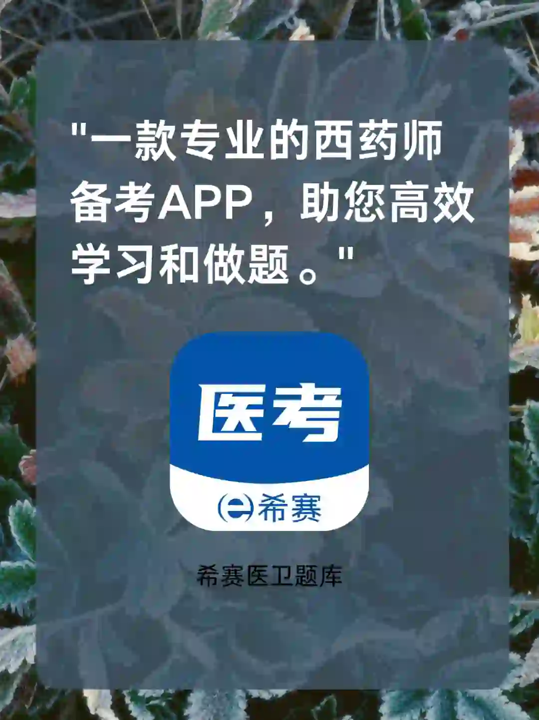 📐 执业西药师刷题APP,高效备考