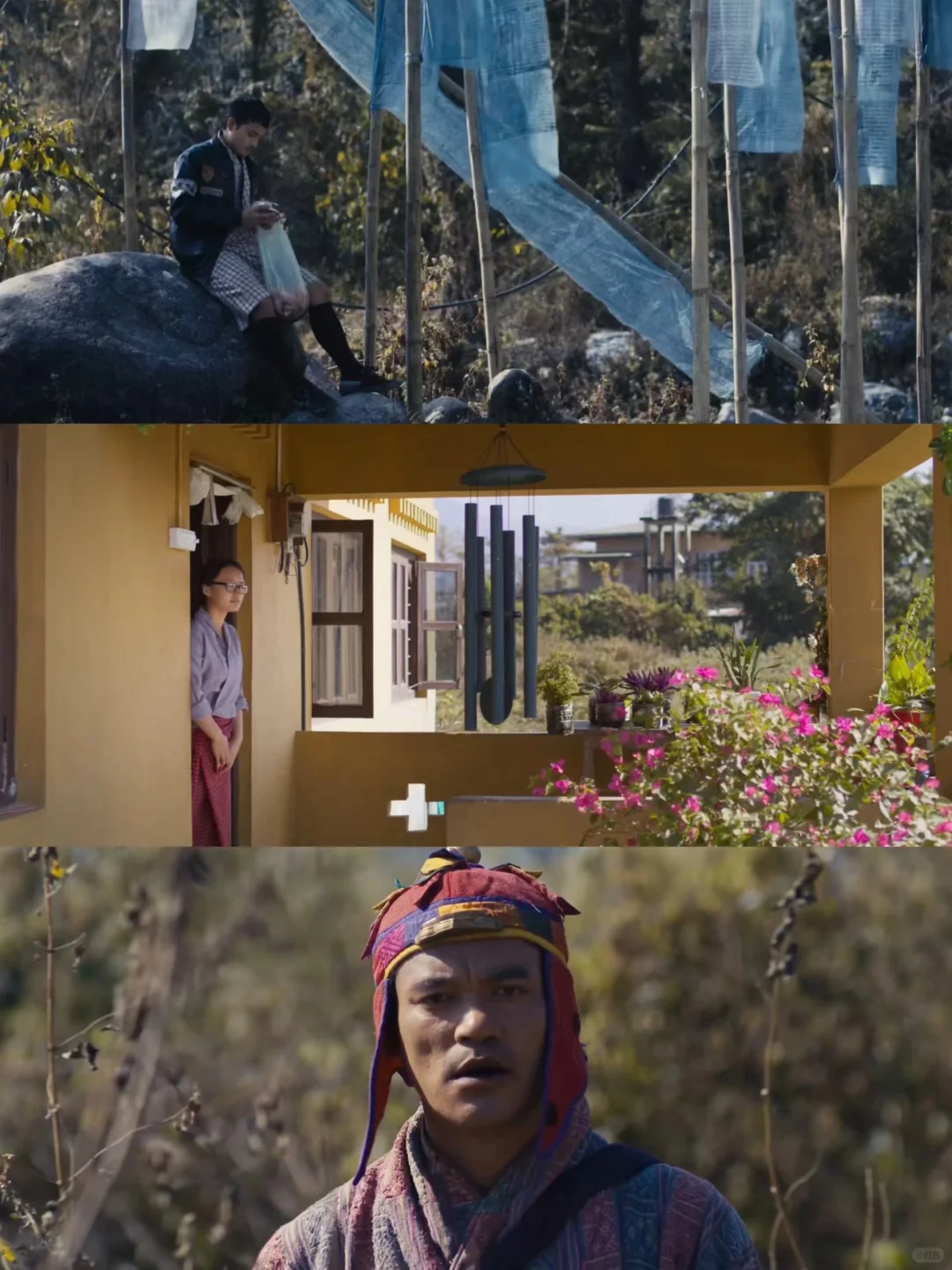 免费观看!宗萨仁波切电影“十字路口的猪”