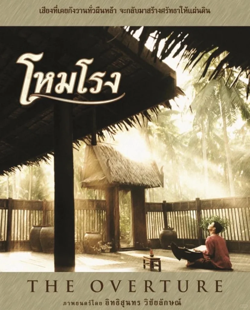 超爱这种古典乐器音乐电影快给我去看