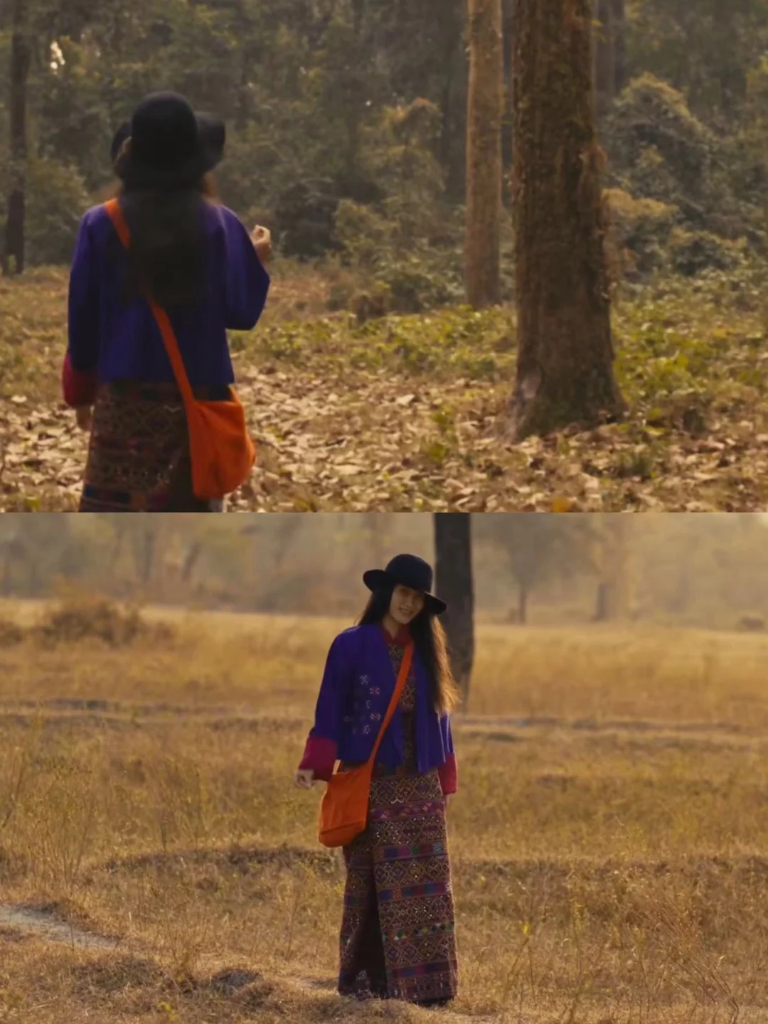 免费观看!宗萨仁波切电影“十字路口的猪”