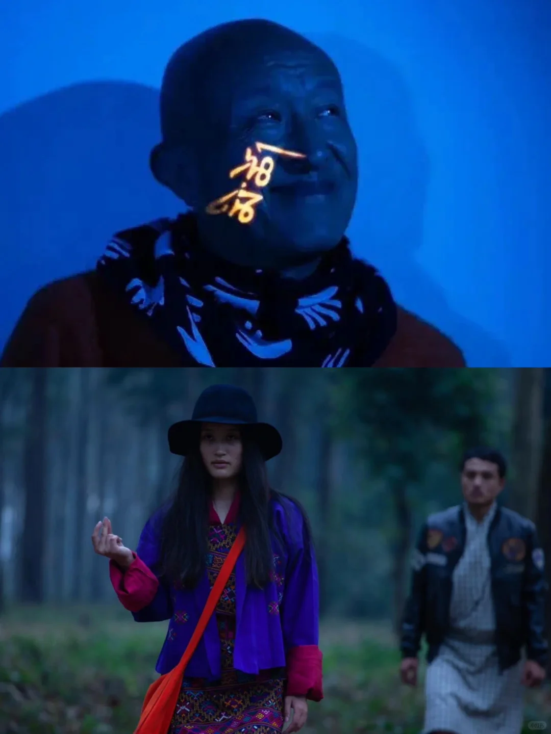 免费观看!宗萨仁波切电影“十字路口的猪”