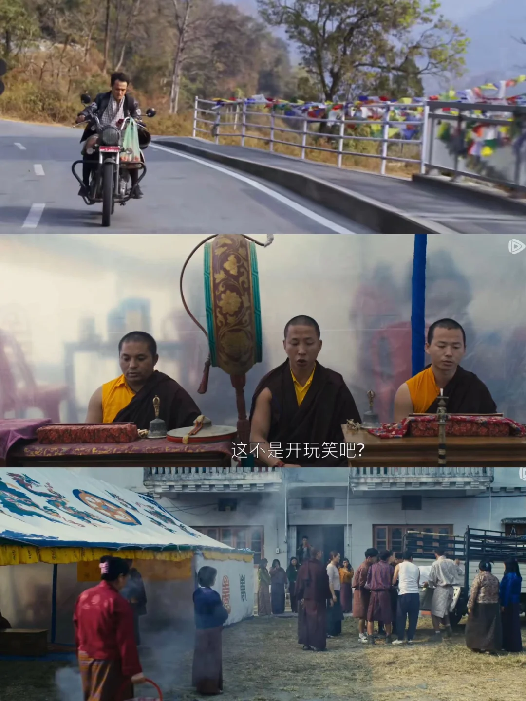 免费观看!宗萨仁波切电影“十字路口的猪”