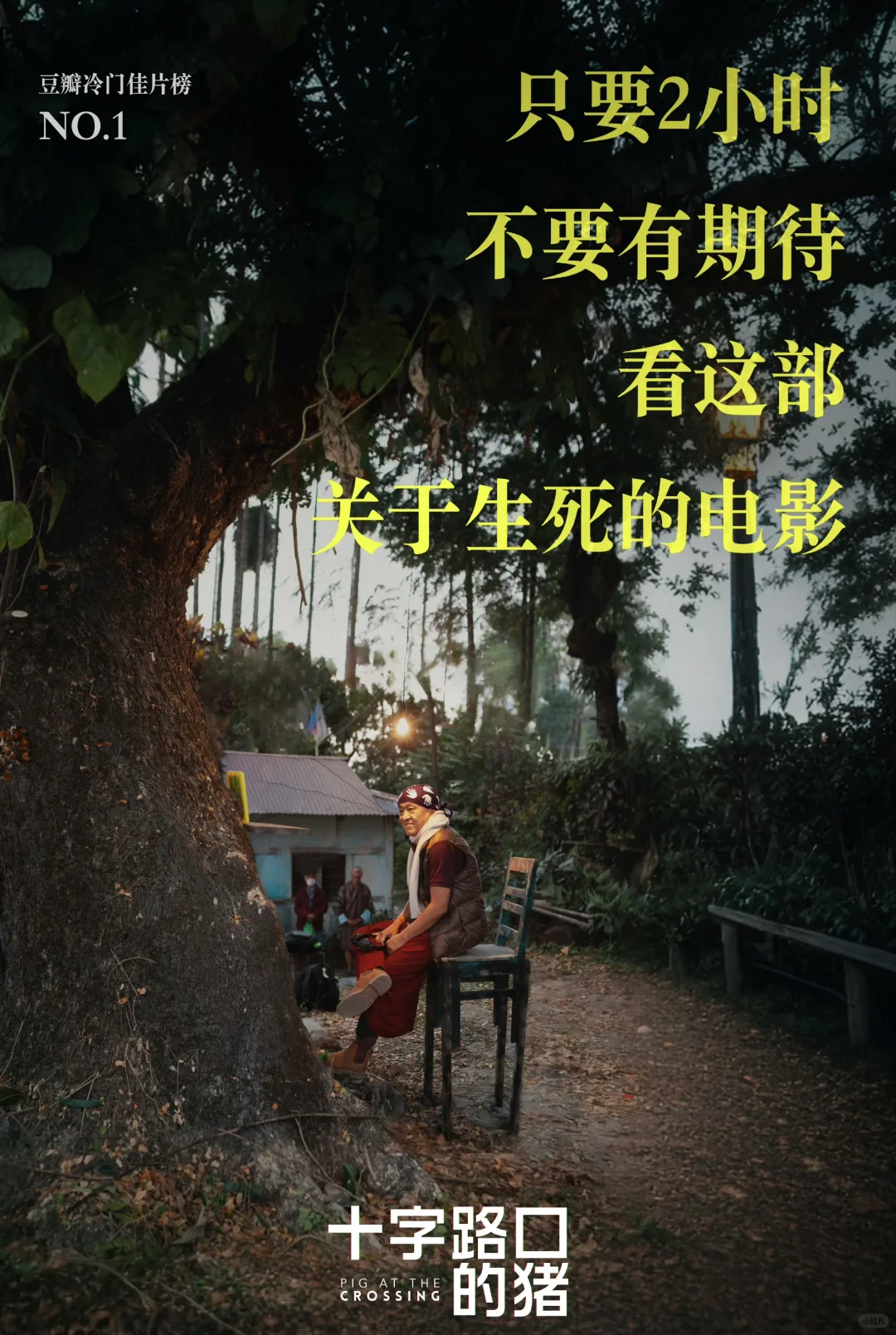 免费观看!宗萨仁波切电影“十字路口的猪”