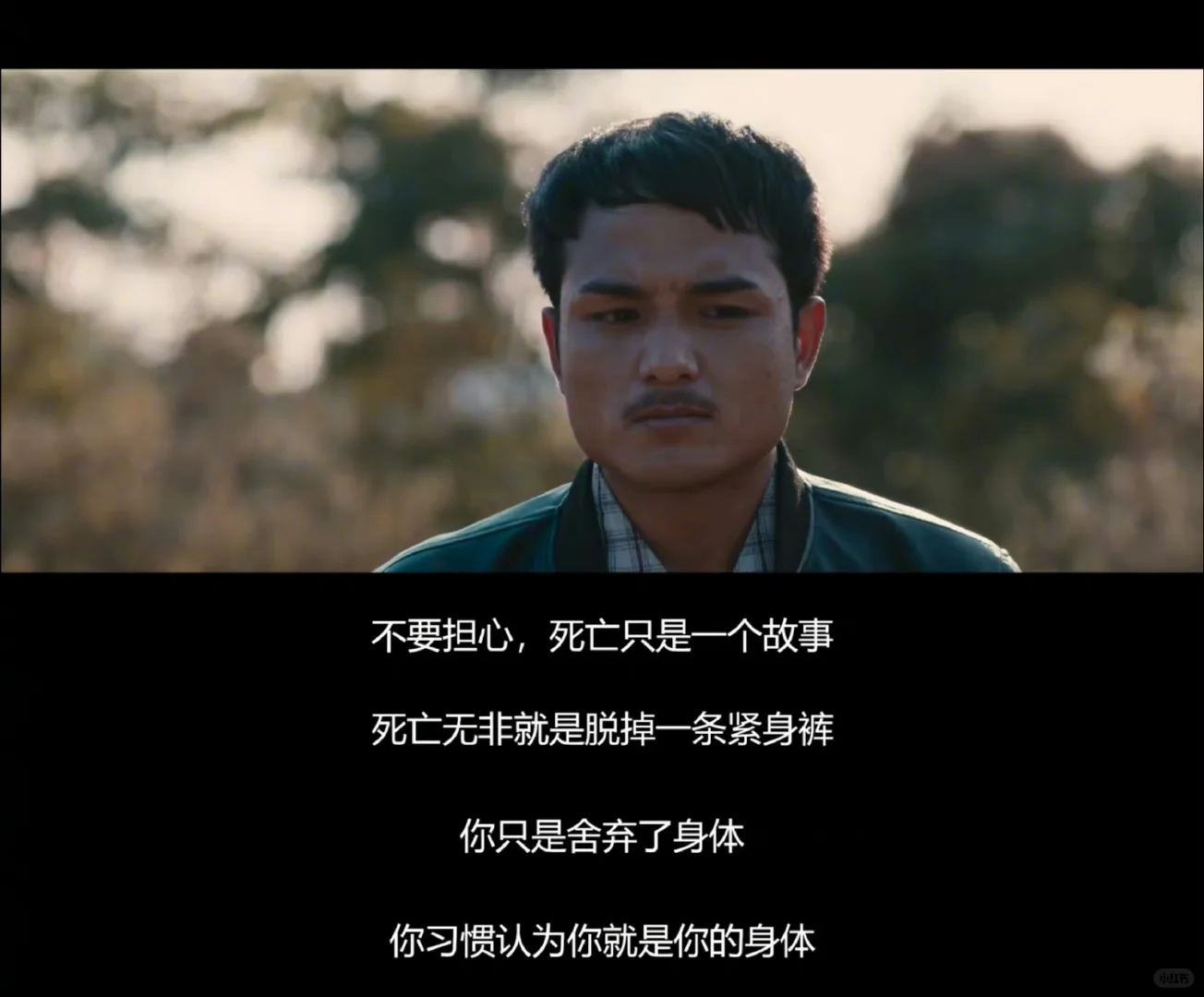 免费观看!宗萨仁波切电影“十字路口的猪”