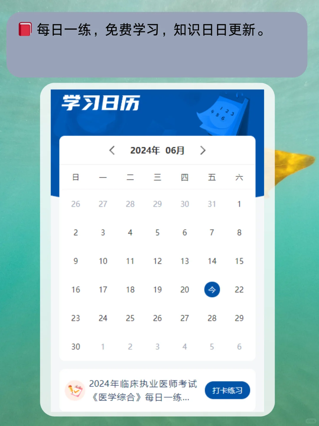 📂 执业药师刷题APP,考点精讲