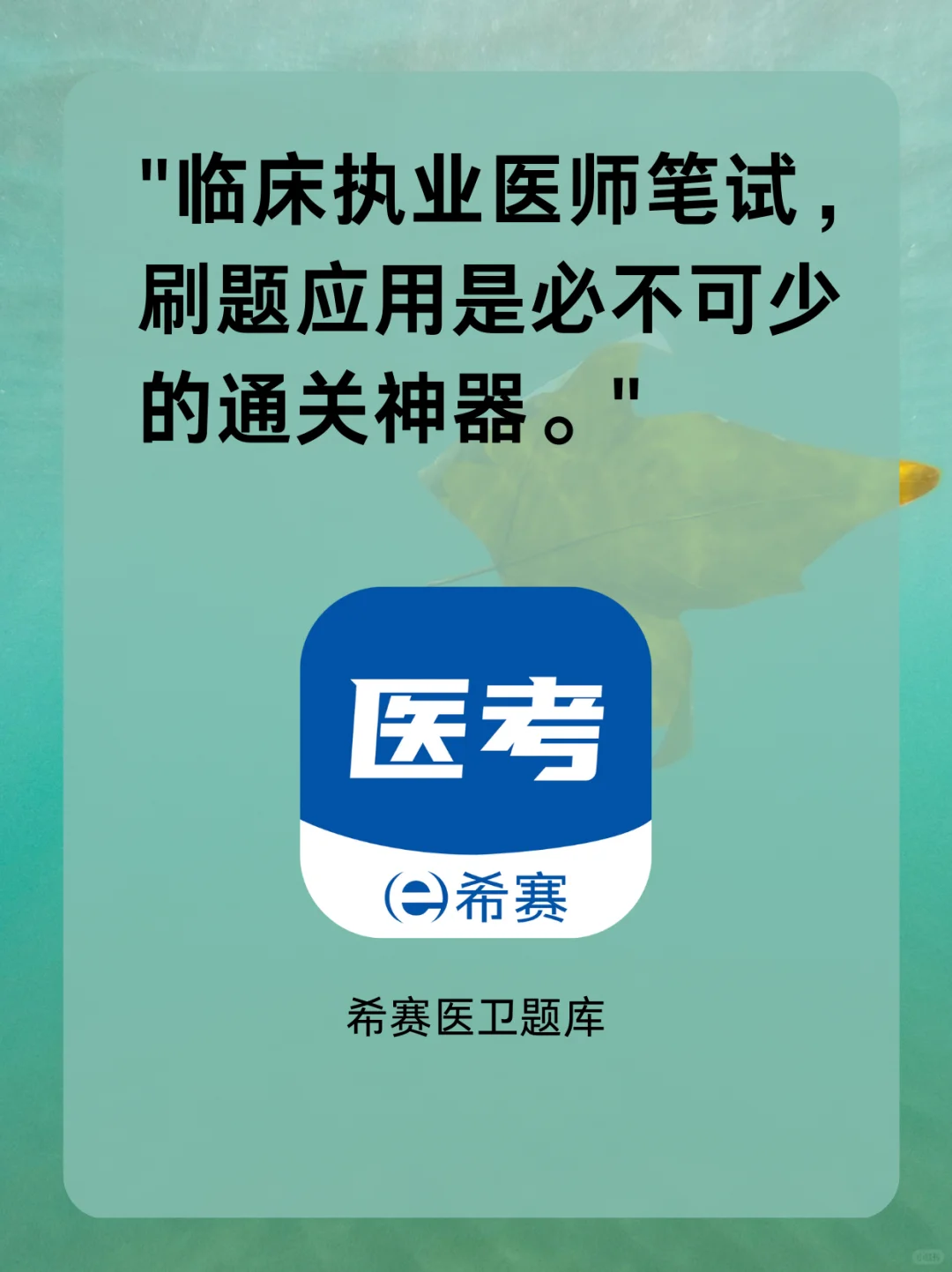 📂 执业药师刷题APP,考点精讲
