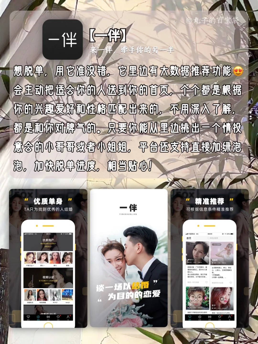 这些年因为Timi 错过的神仙APP