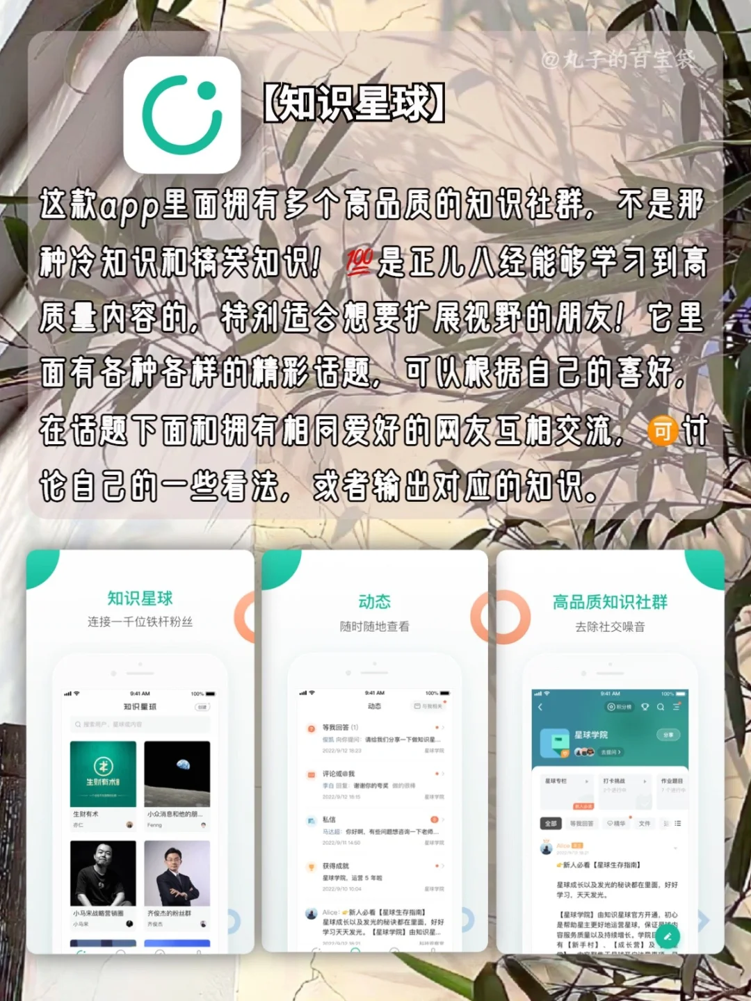 这些年因为Timi 错过的神仙APP