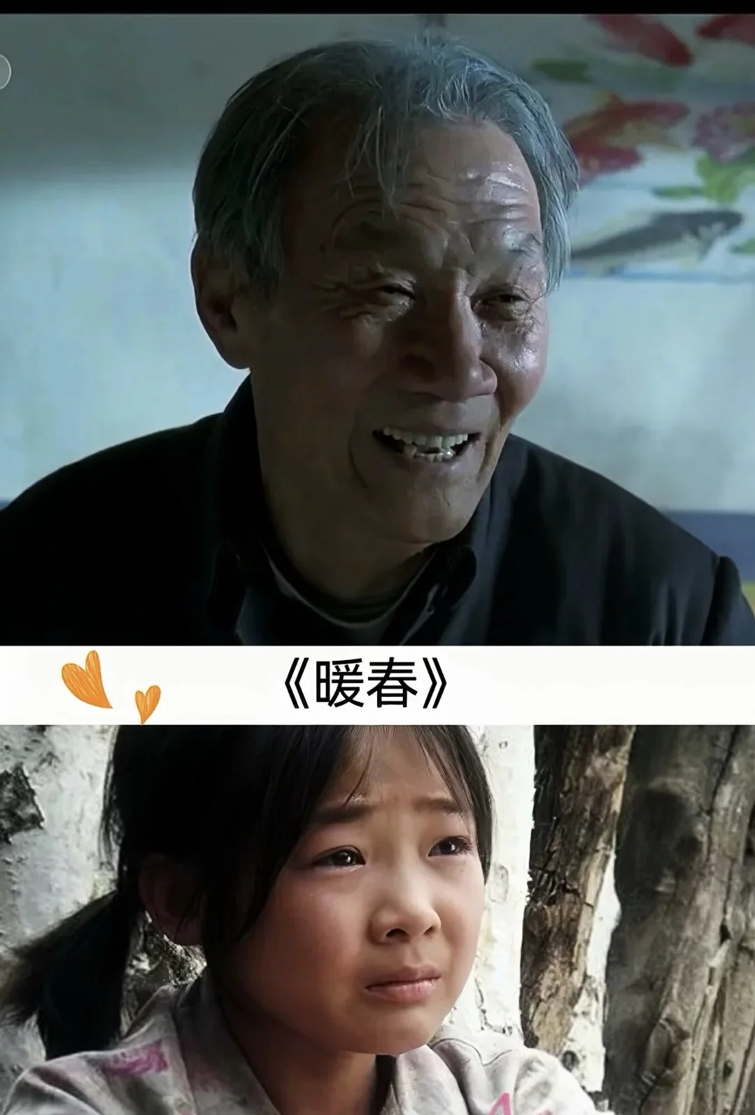 电影推荐第2️⃣弹❗️