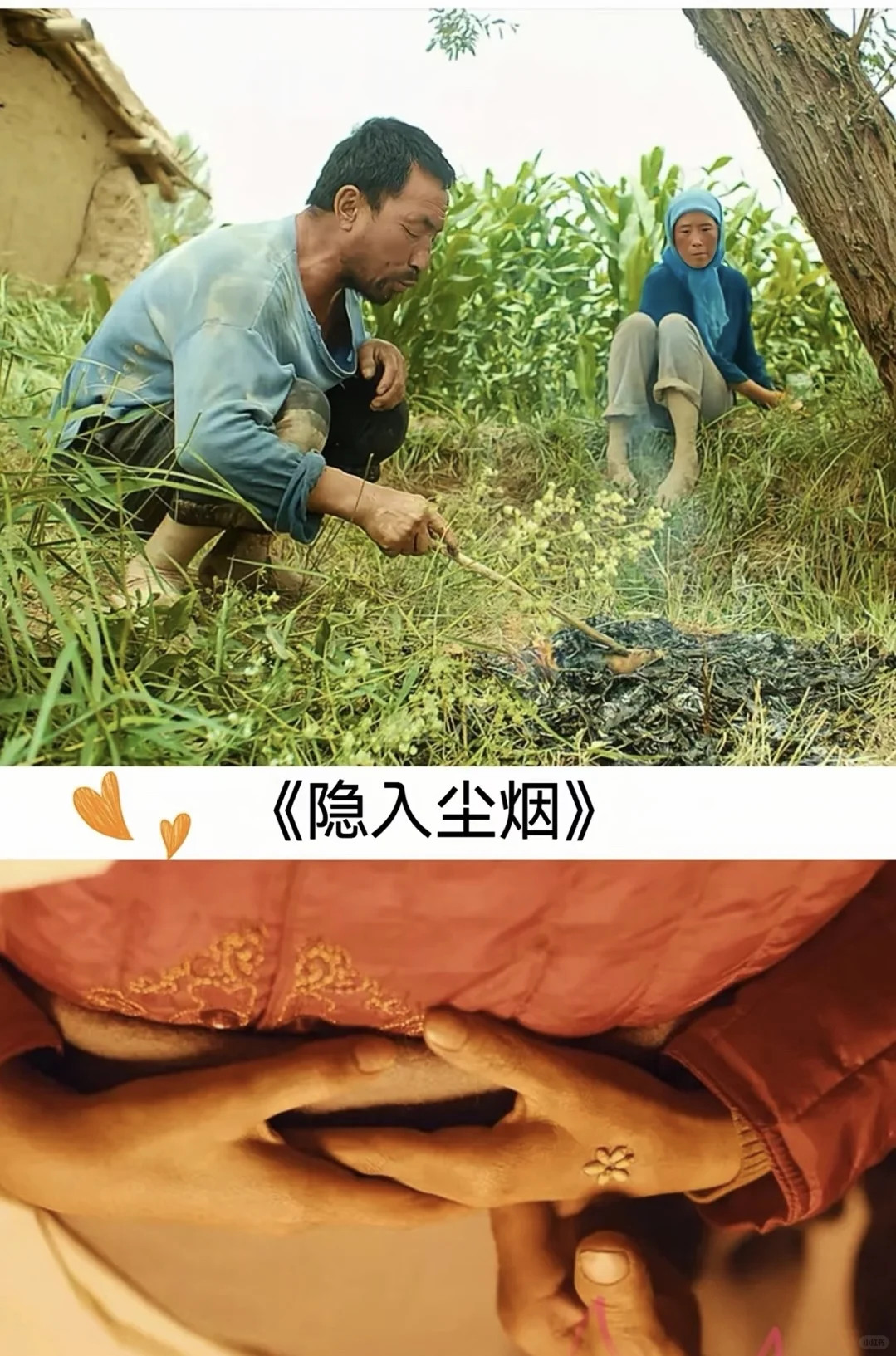 电影推荐第2️⃣弹❗️