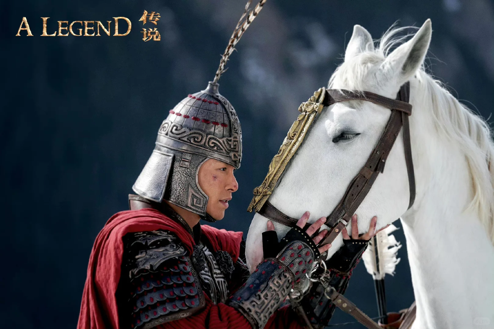 电影🎦传说提档上线啦～