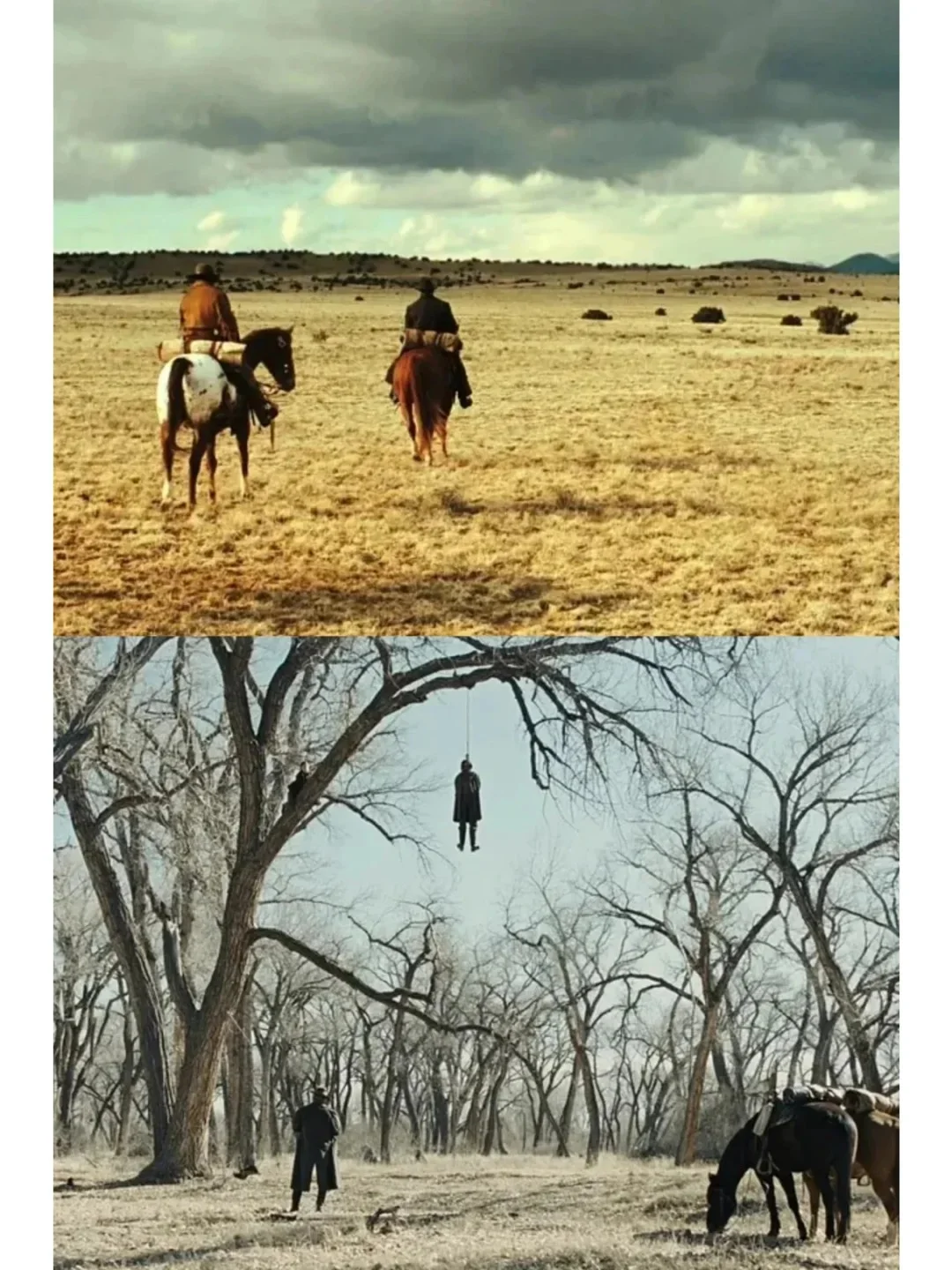 不愧是我今年看过最好的电影‼️