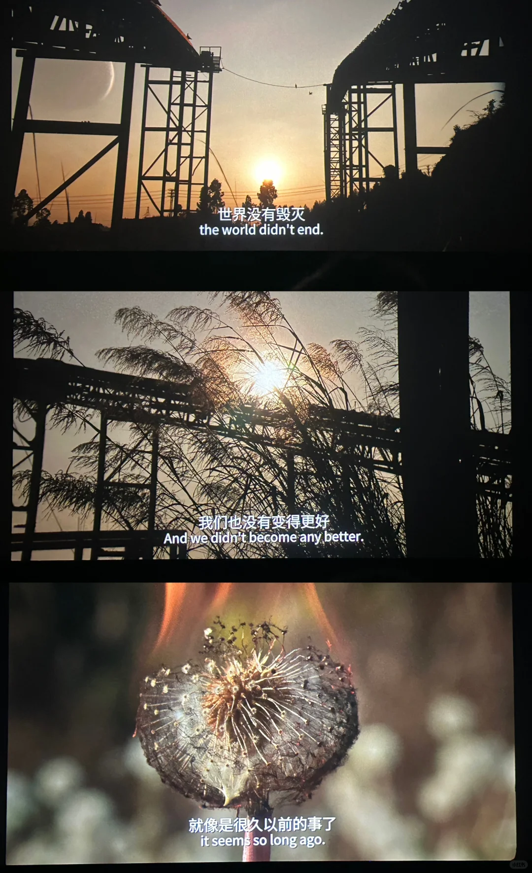 🎬：《适合一个正常的病人去看》