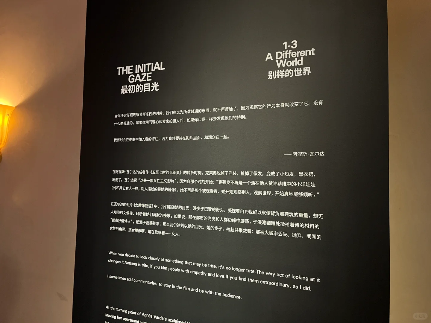 文本：今天看展 中法女性电影