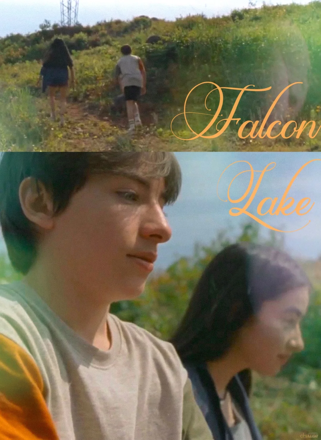 电影美学｜Falcon Lake · Part 1