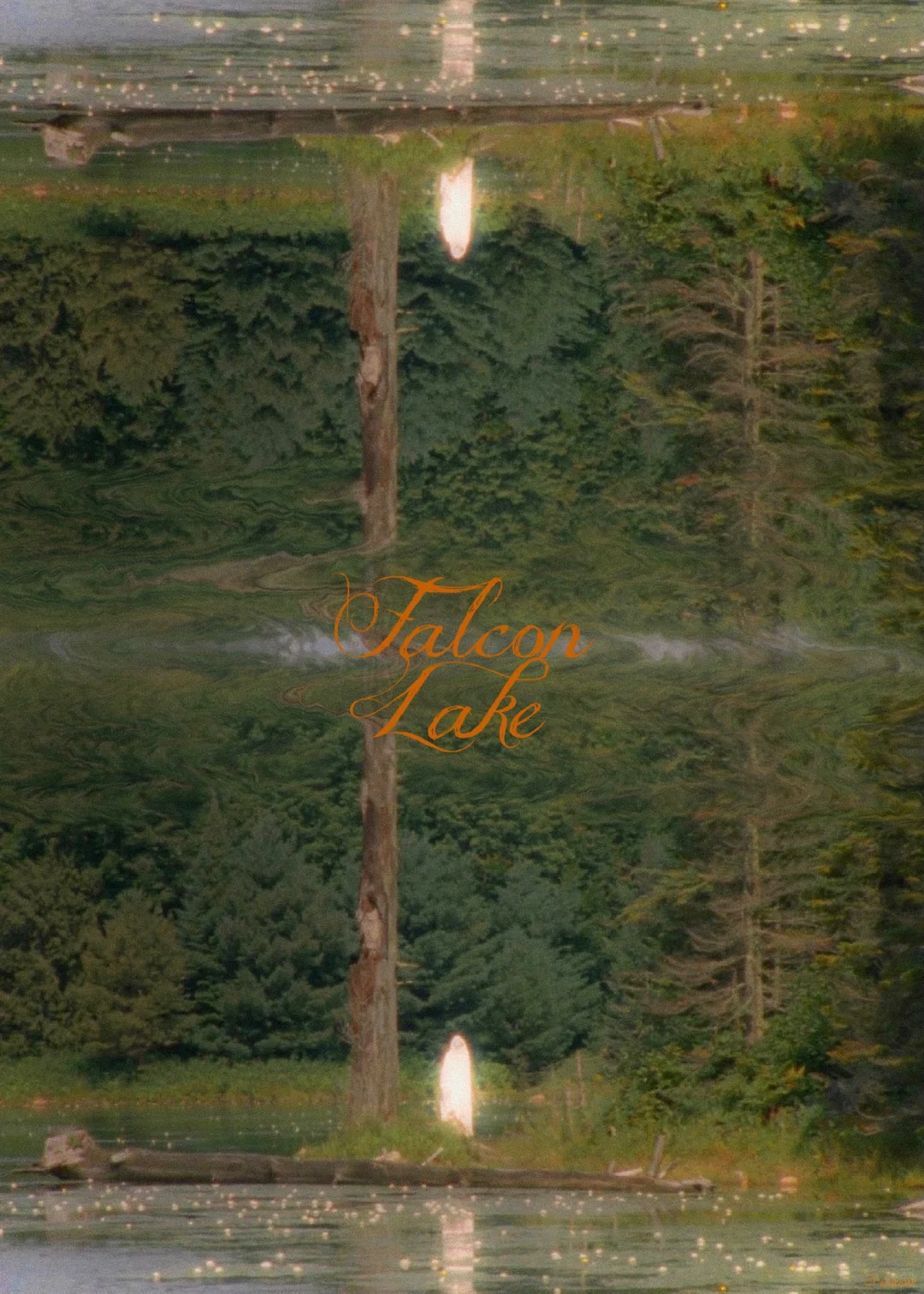 电影美学｜Falcon Lake · Part 1
