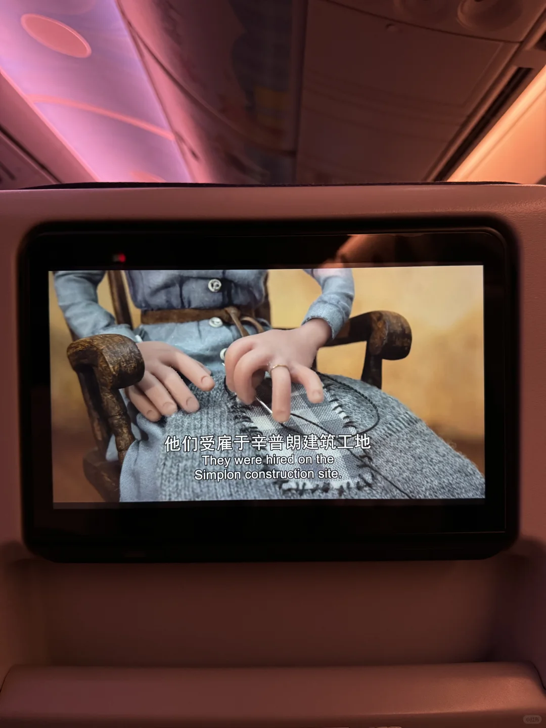 飞机上的小众电影推荐｜关于我家的一切