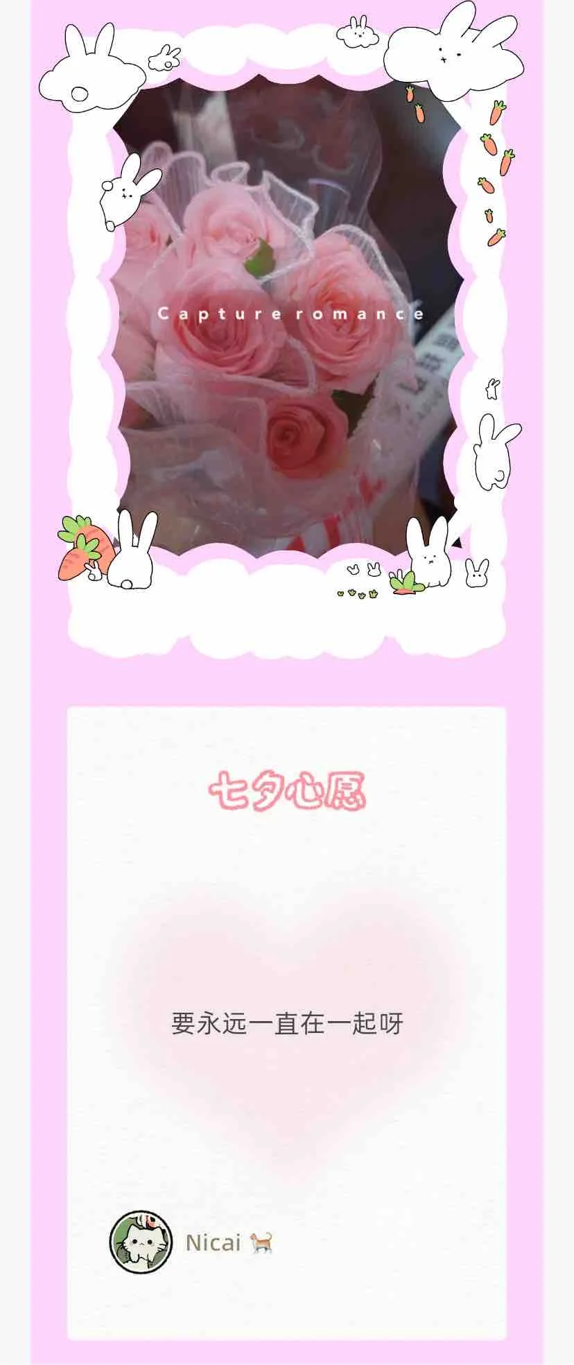 新发现的养宠软件！