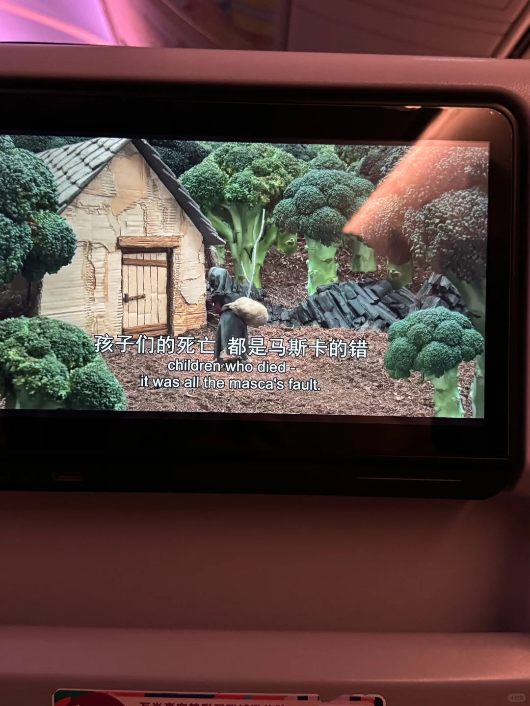 飞机上的小众电影推荐｜关于我家的一切