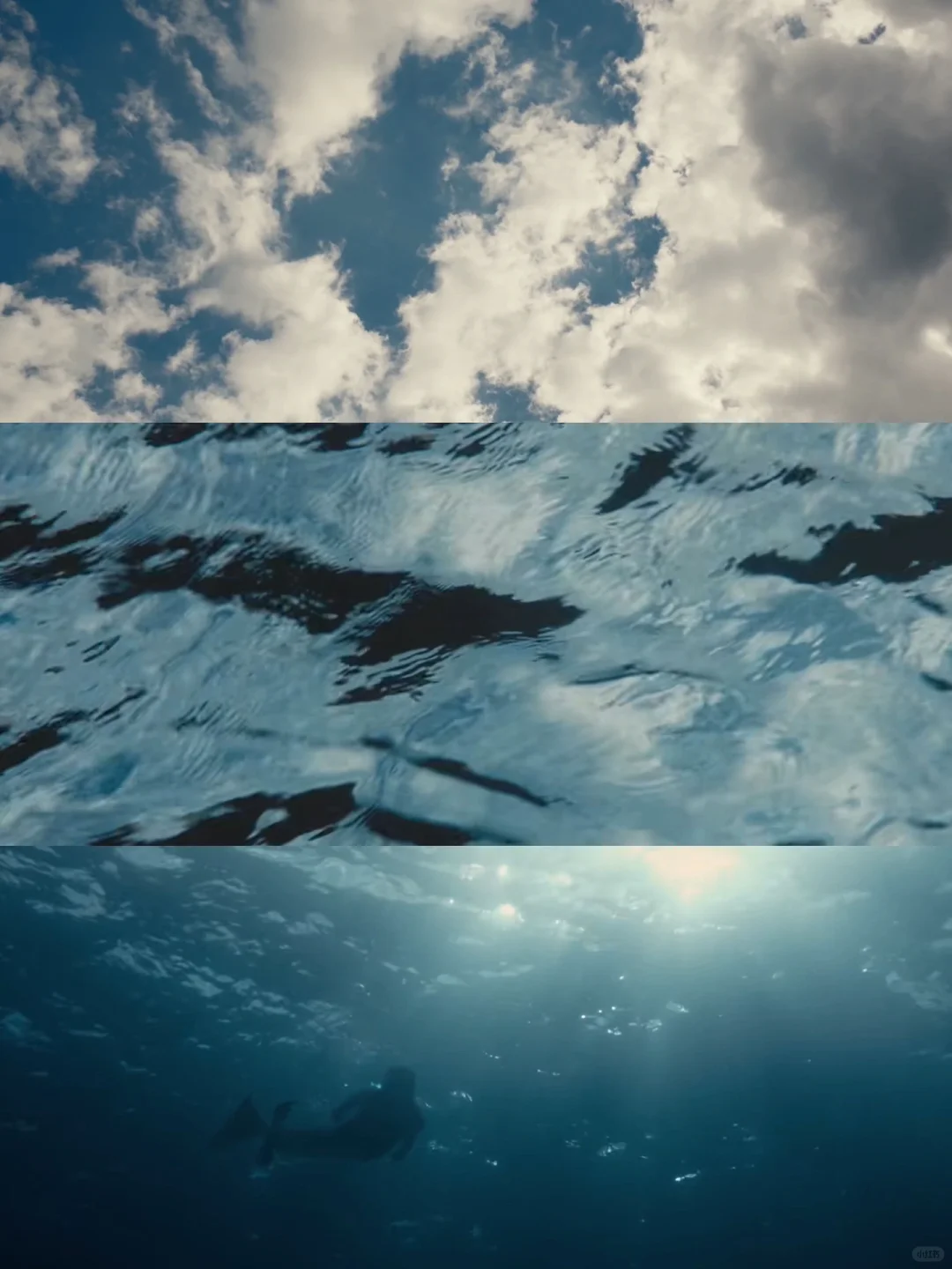 🌊夏日电影推荐｜青春期焦虑的海与诗