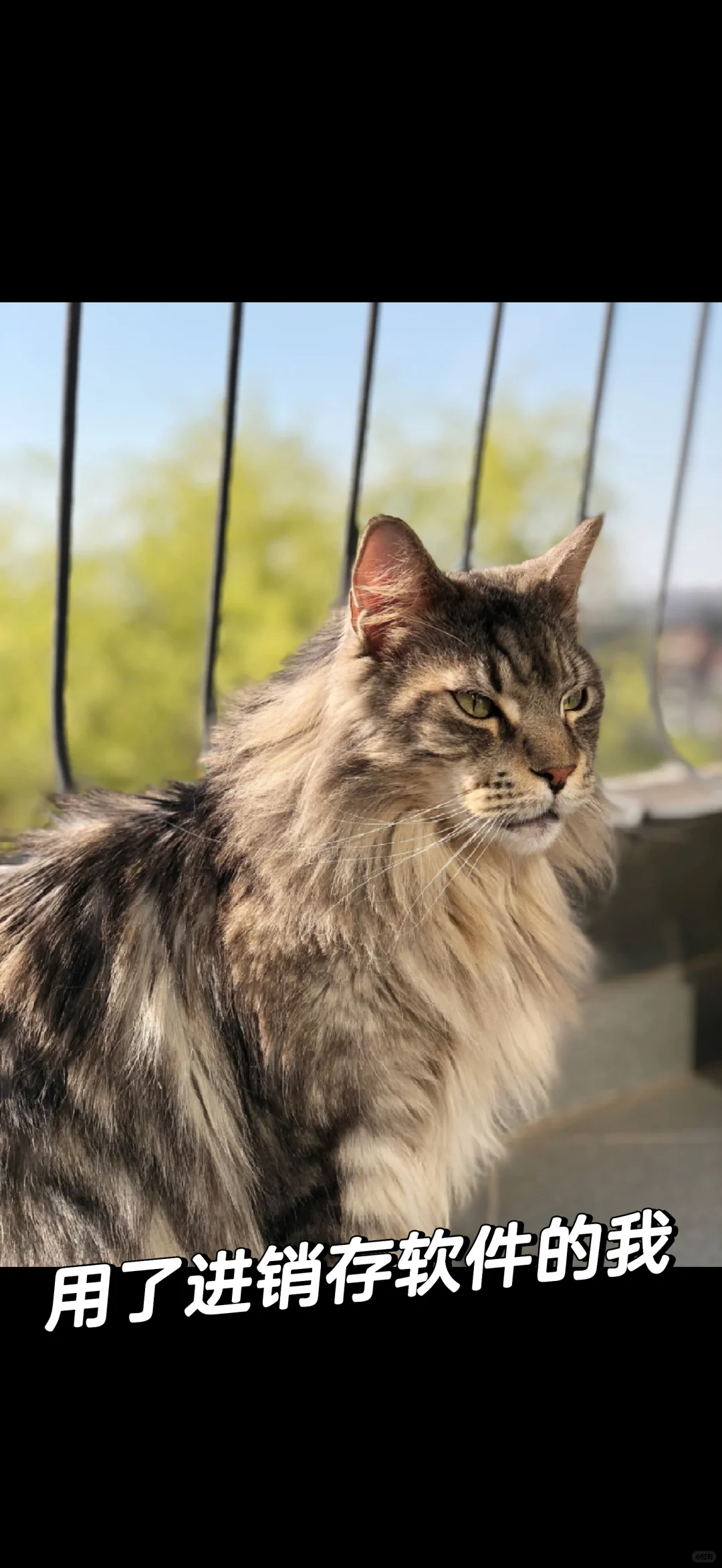 进销存软件可以给企业带来什么？需要软件私