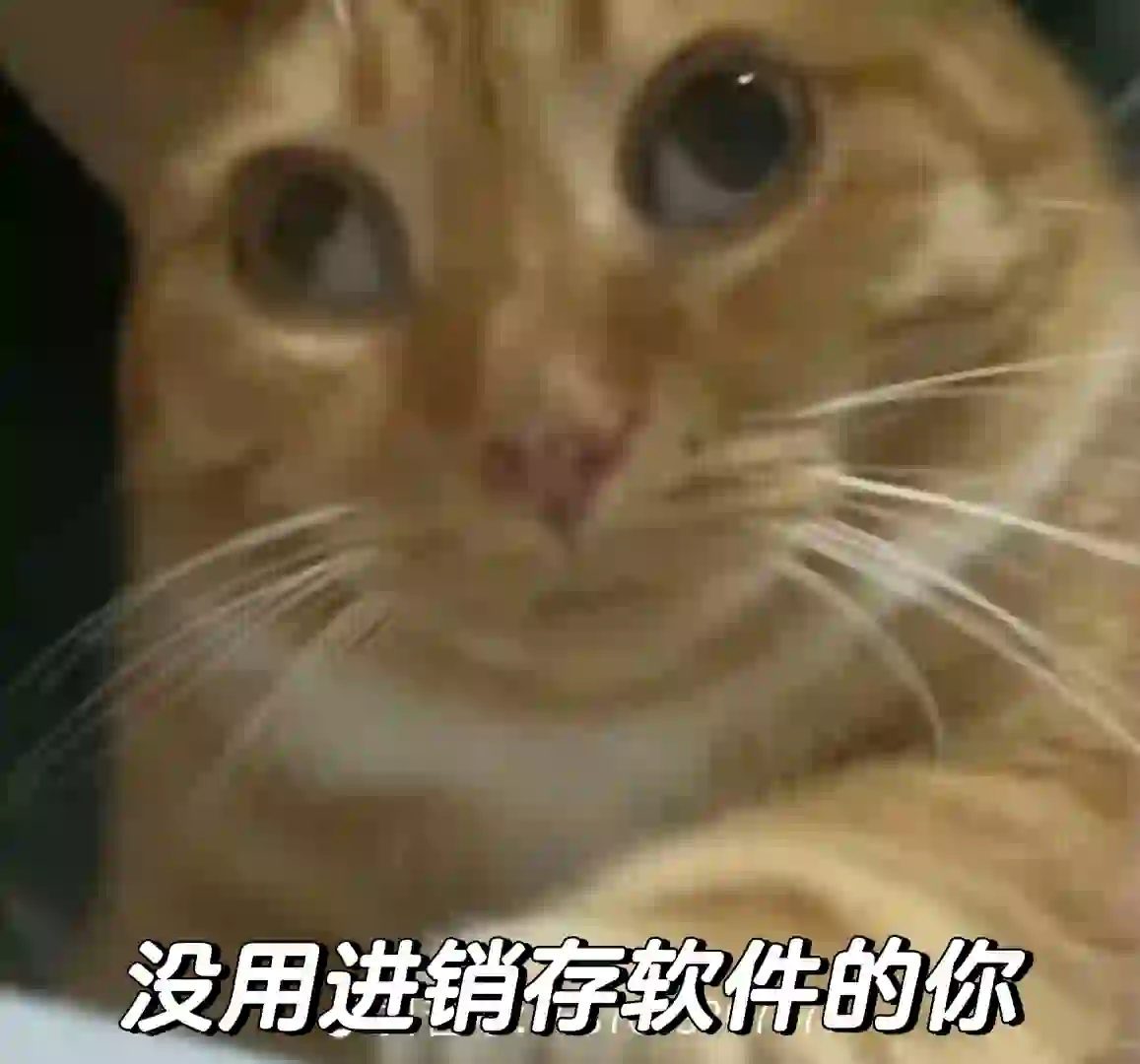 进销存软件可以给企业带来什么？需要软件私