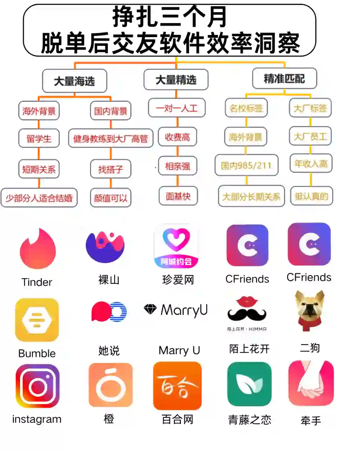 挣扎三个月，脱单后交友软件效率洞察