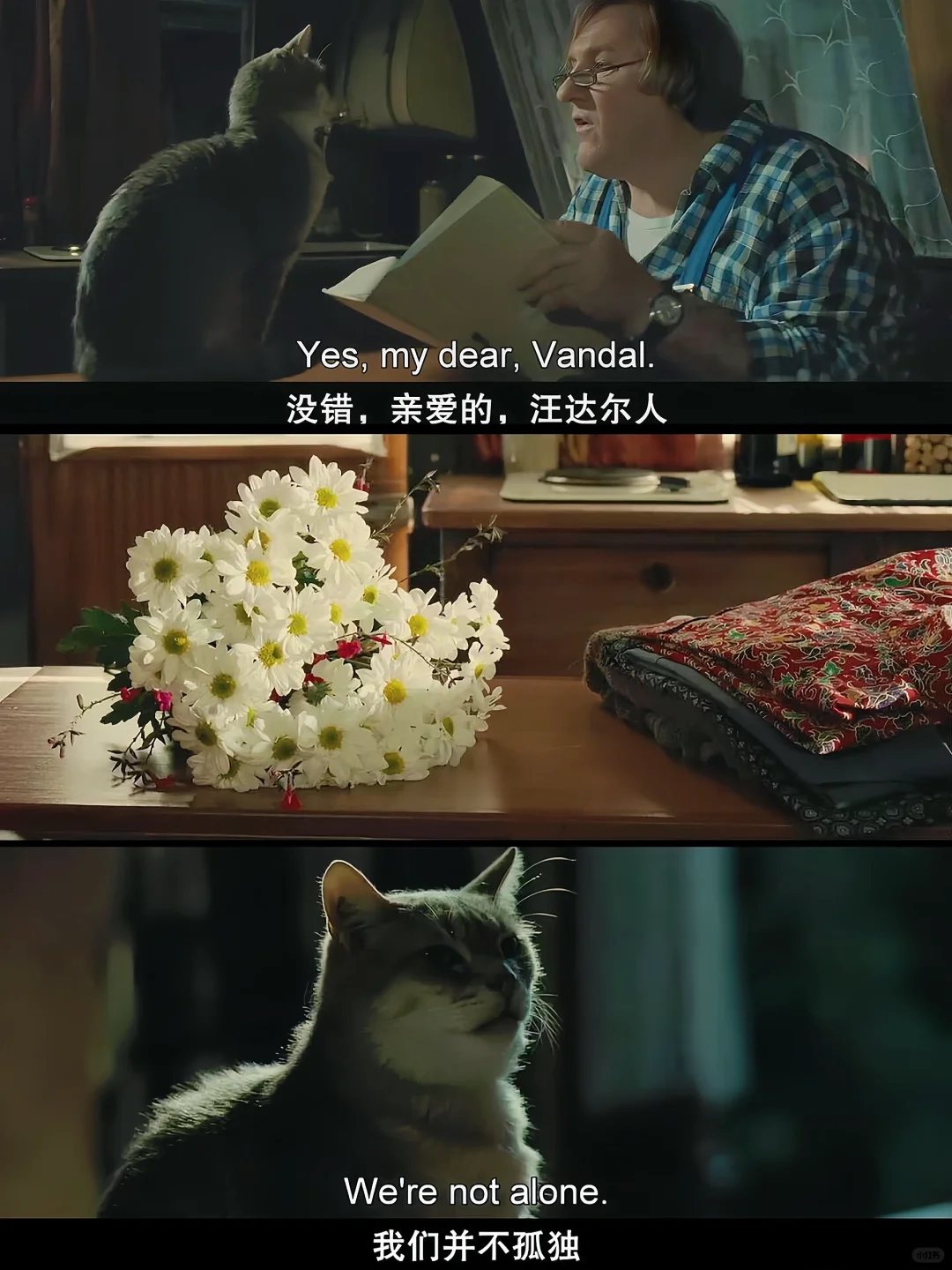 😭看哭了!这片子居然9.9分❗后劲太大了