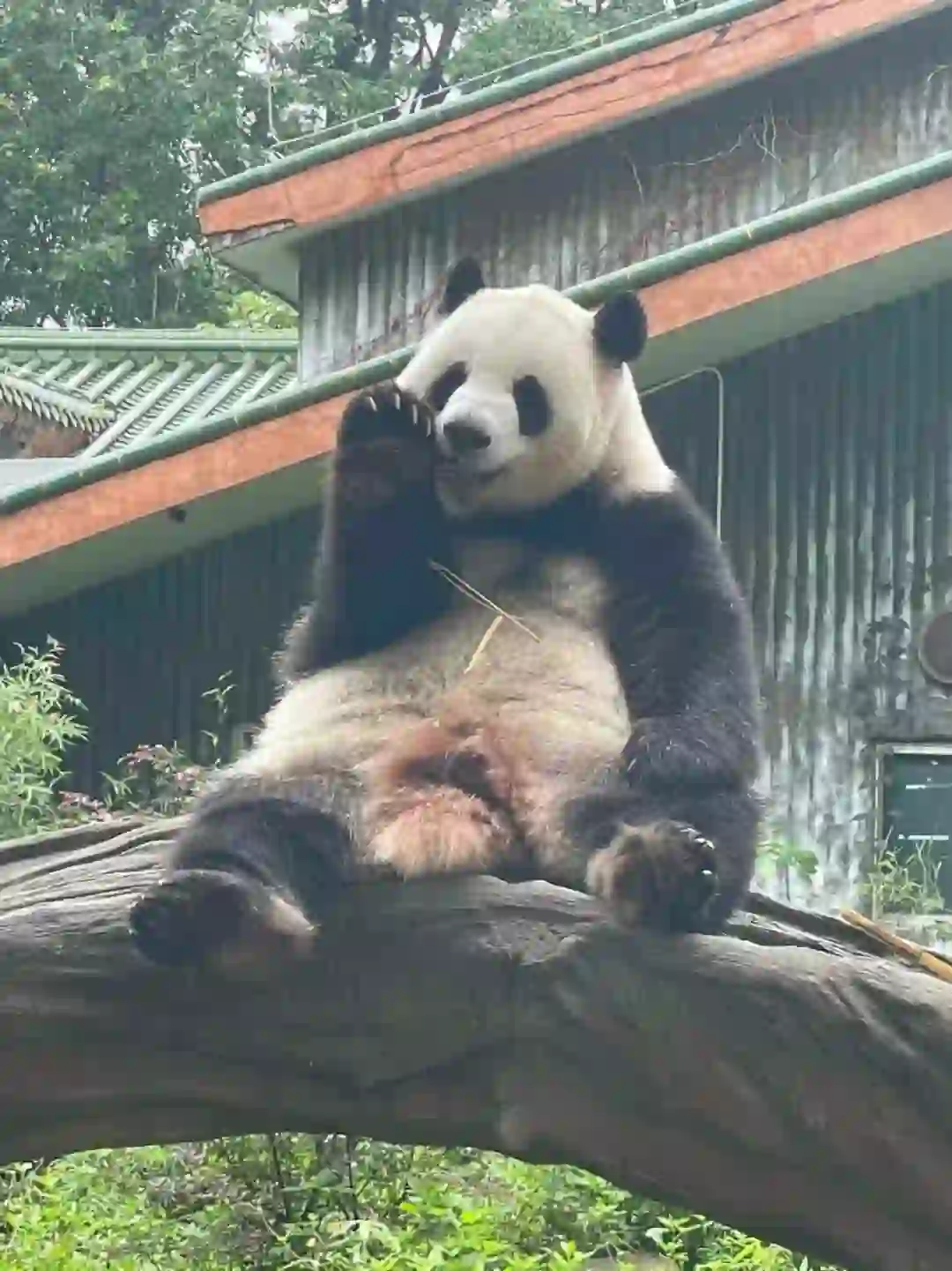 有没有主角最终失败的电影。。。