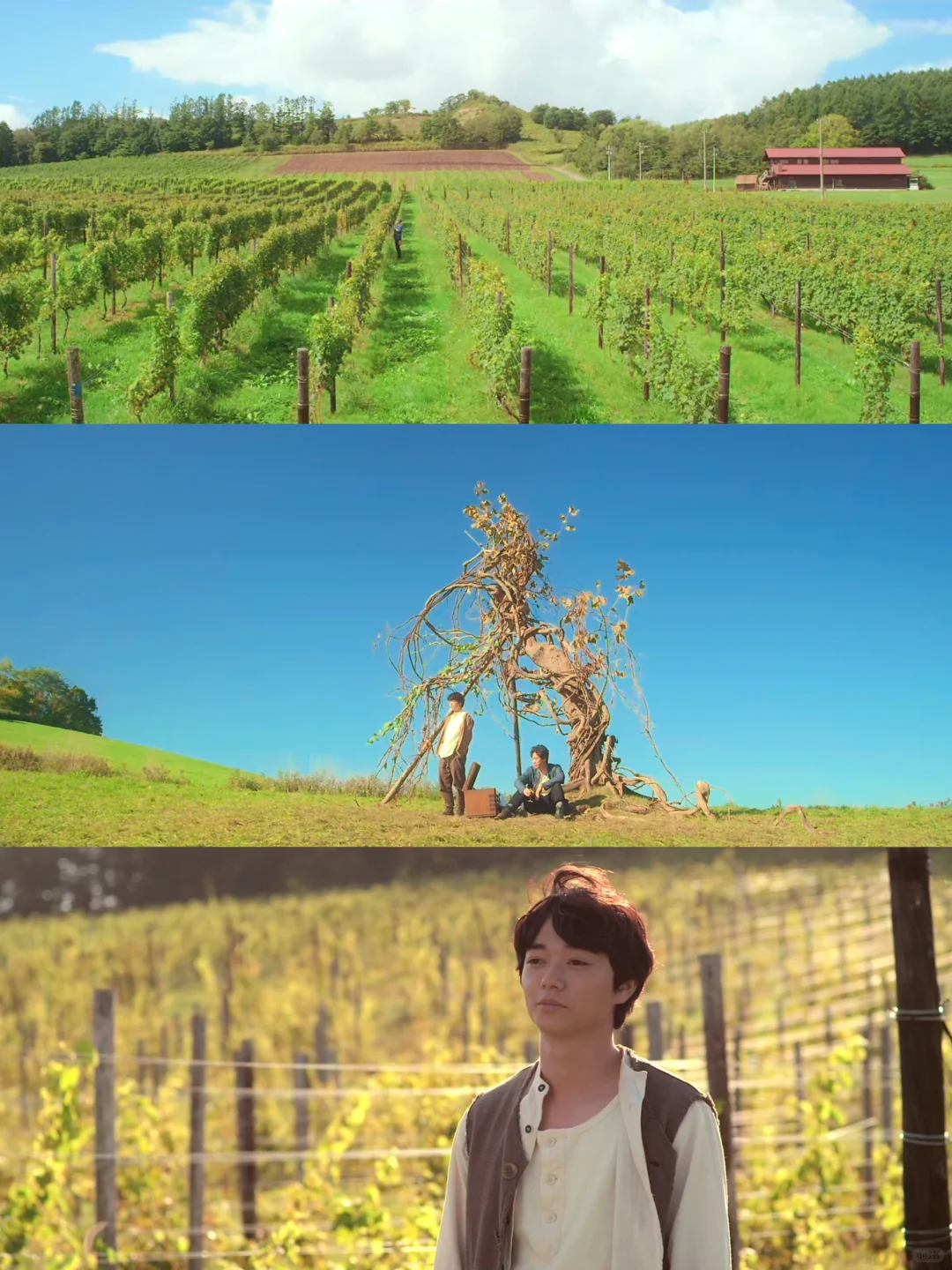 啊啊啊😭怎么会有这么美好的电影‼️