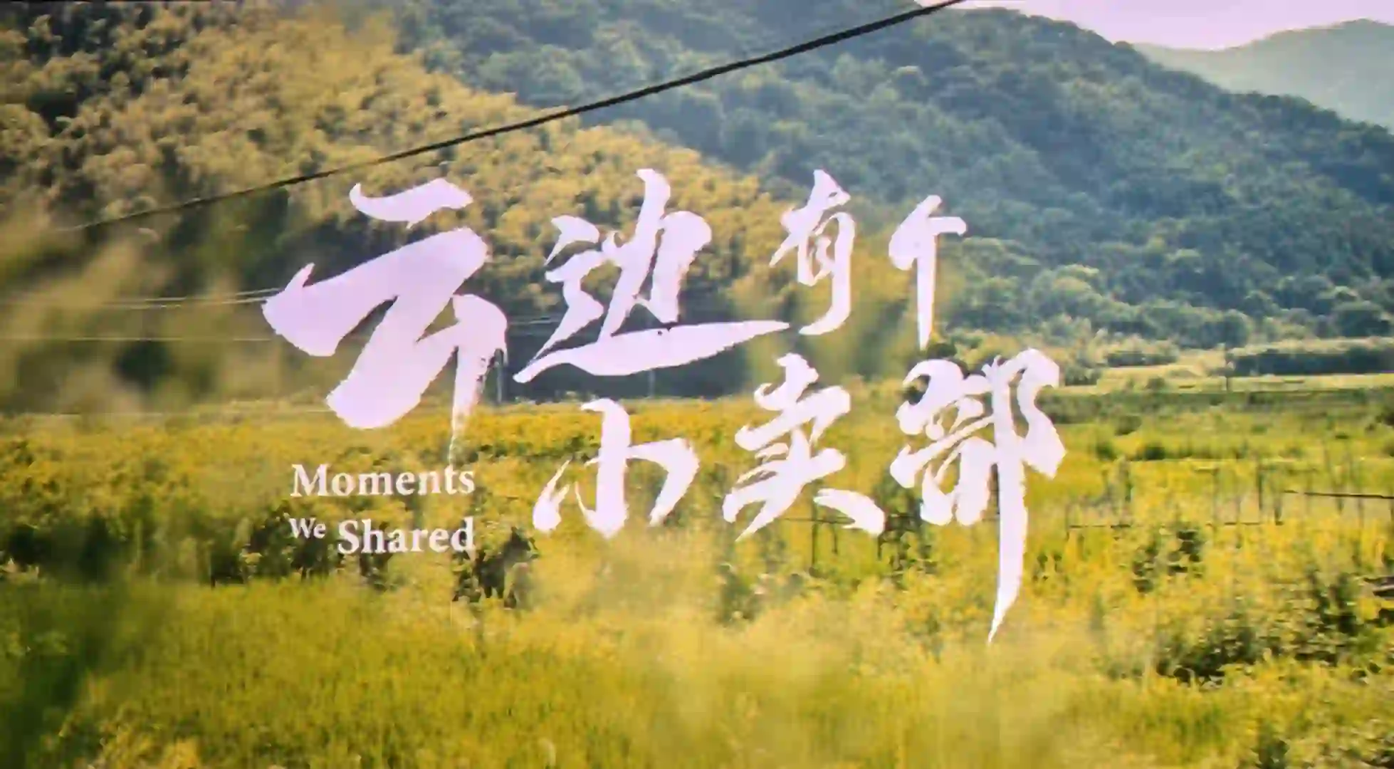 怎么会有这么好看的电影! ! !