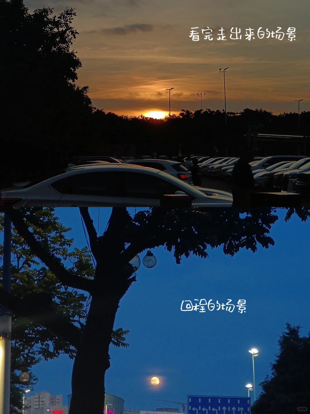 还是预料之内的治愈电影🎦