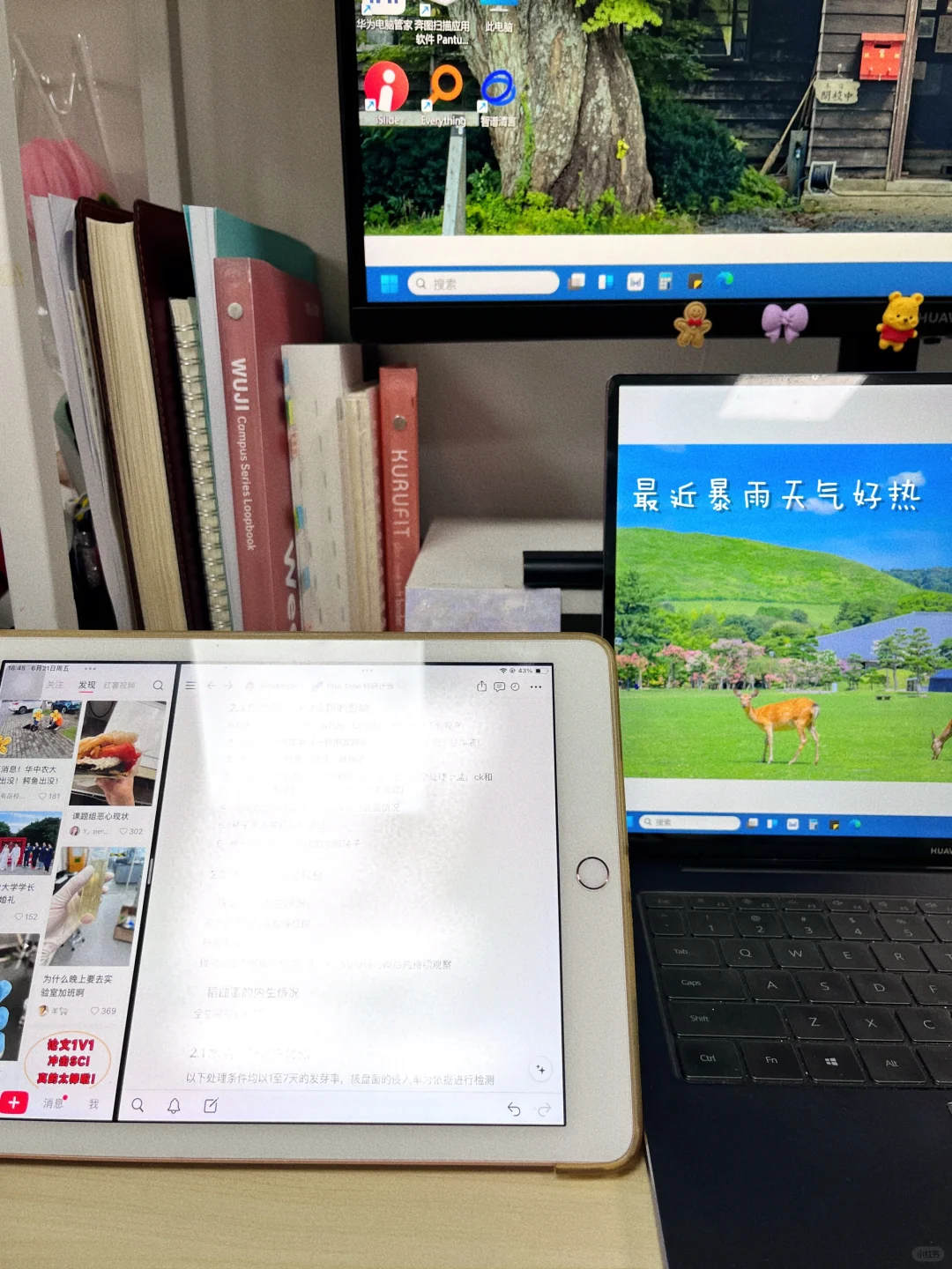 分享一个电脑文件搜索神器