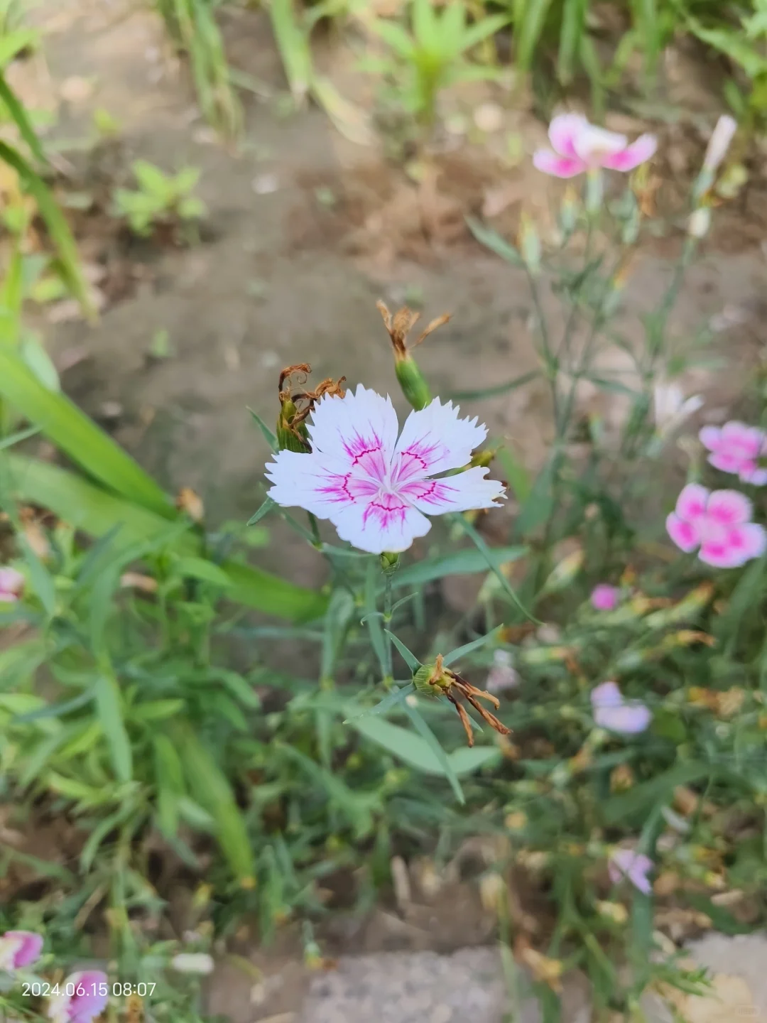 电脑办公软件。。