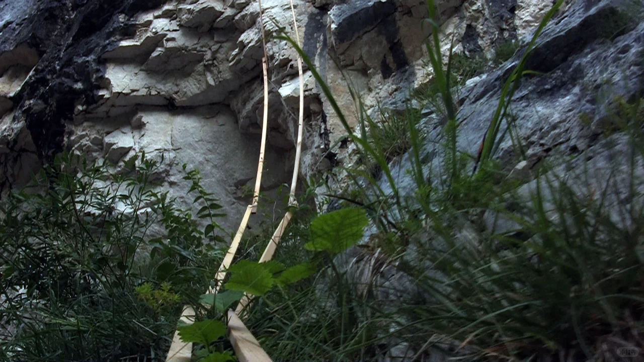 釜山国际电影节入围 ：现代主义的多元化