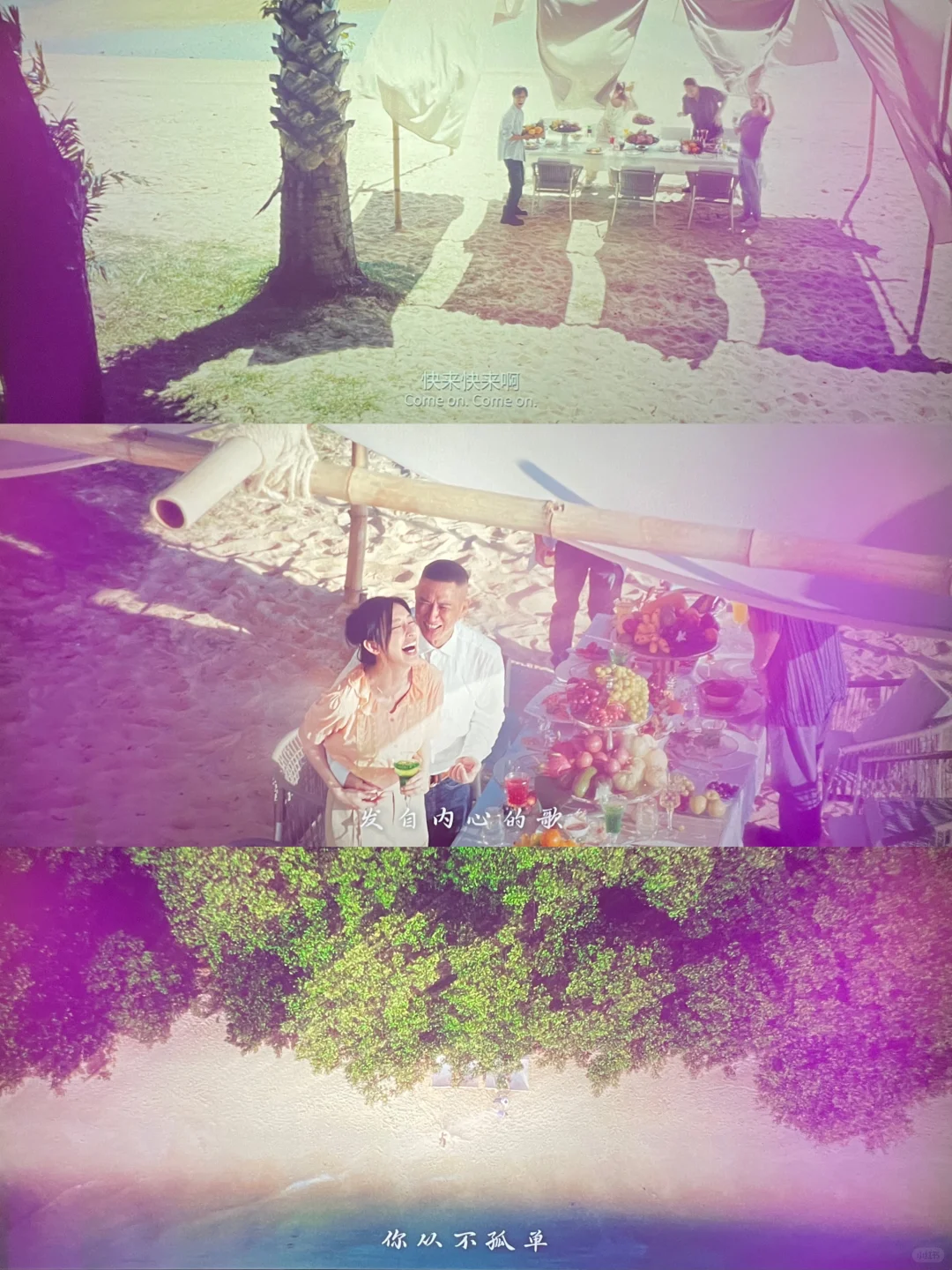 看得浑身疼‼️重生之无人生还,包括我……