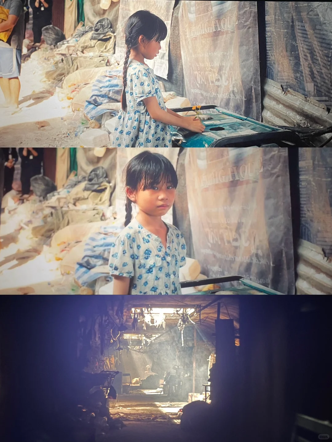 看得浑身疼‼️重生之无人生还,包括我……