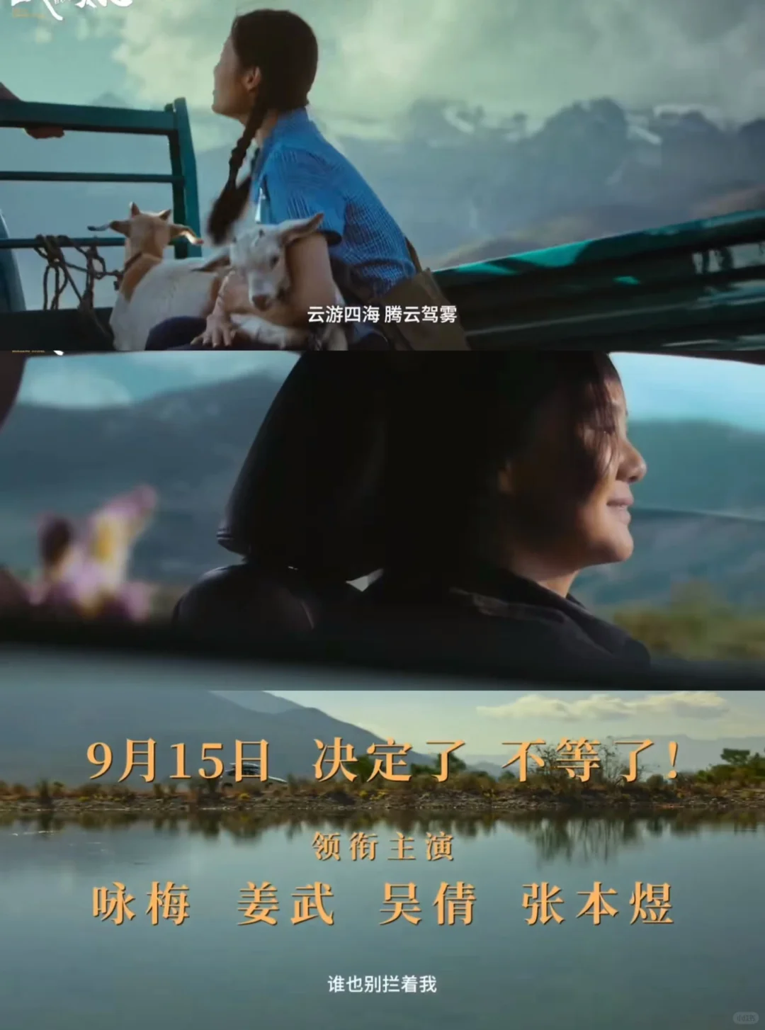 女性必看人生电影，做自己什么时候都不晚❗️