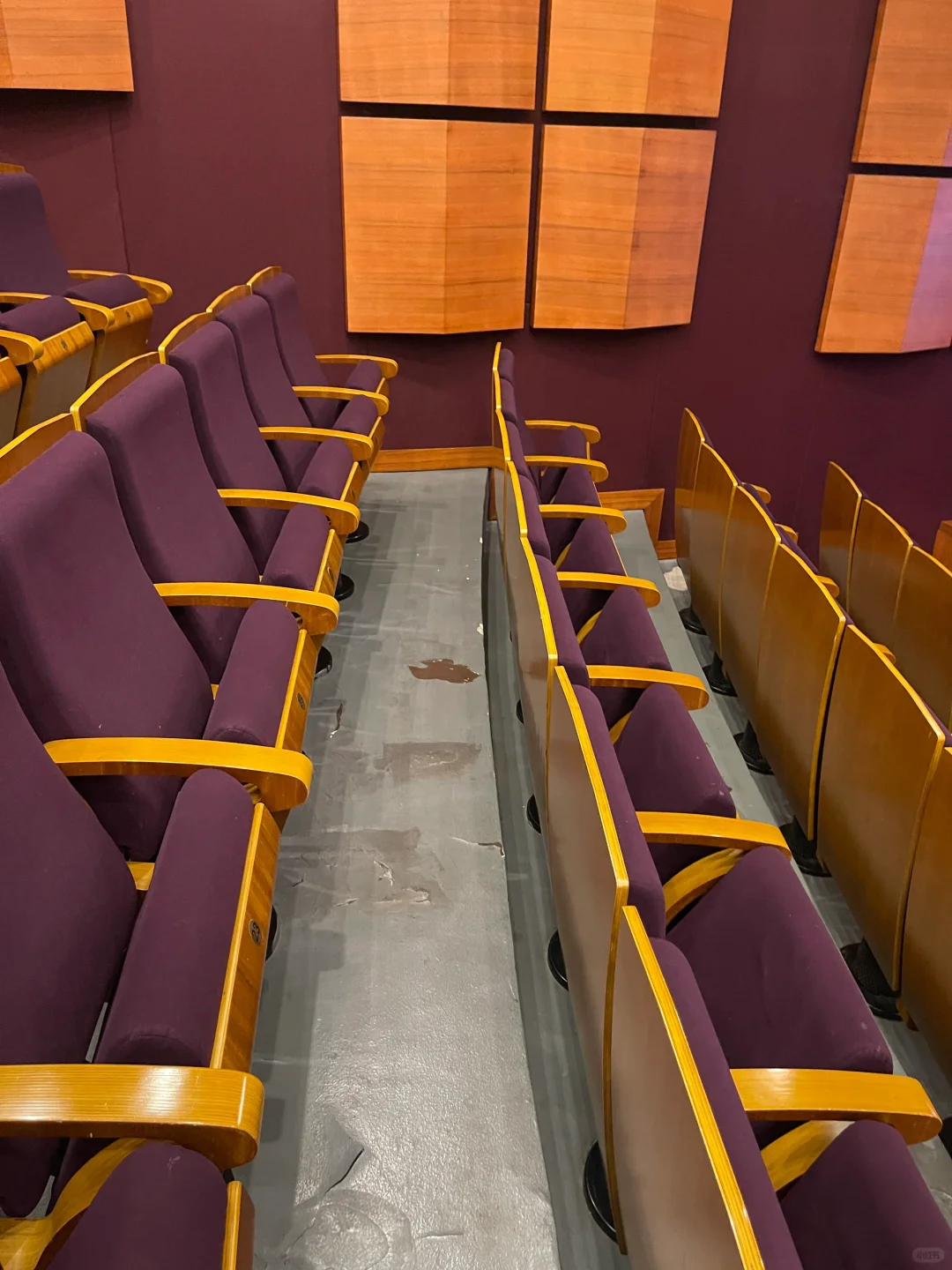 全上海我最爱的影院看了本届上影节最爱电影